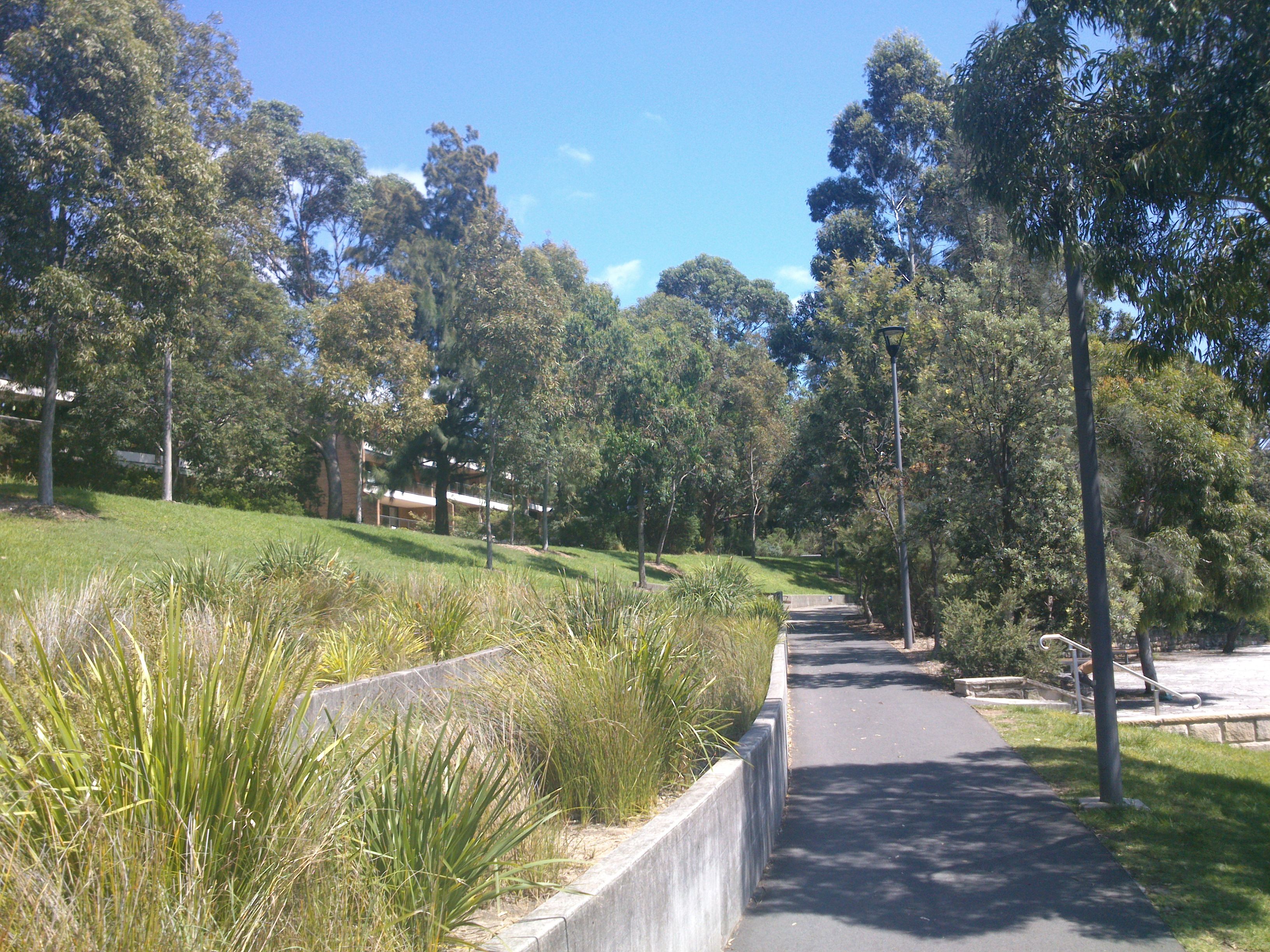 Blackwattle bay park, por desdemisalturas.com