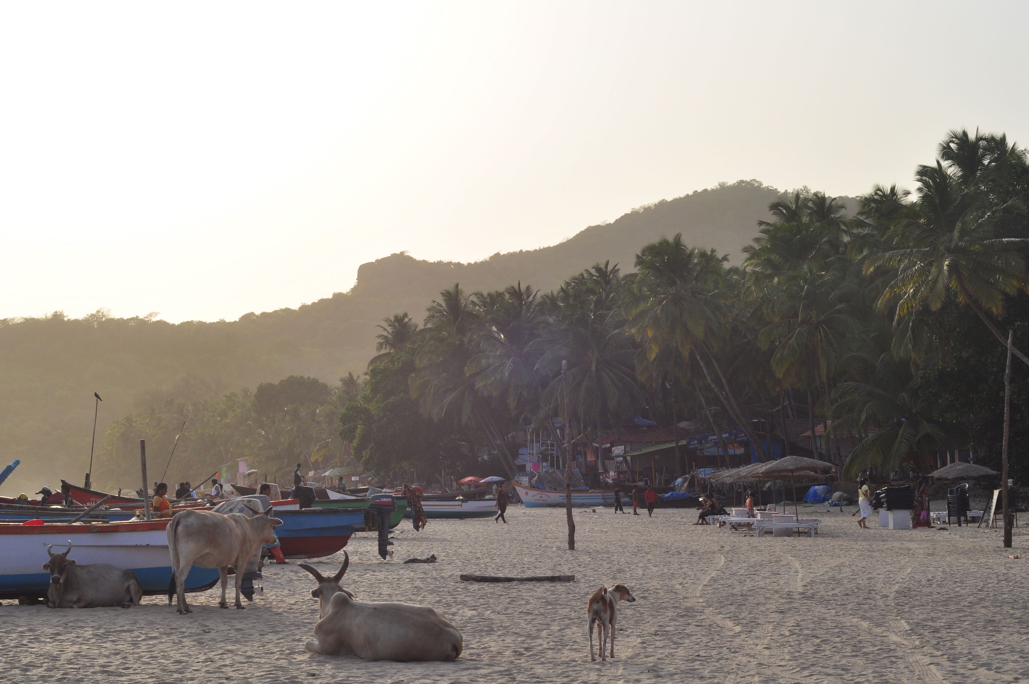 Playas de Goa: un paraíso por descubrir en la costa india