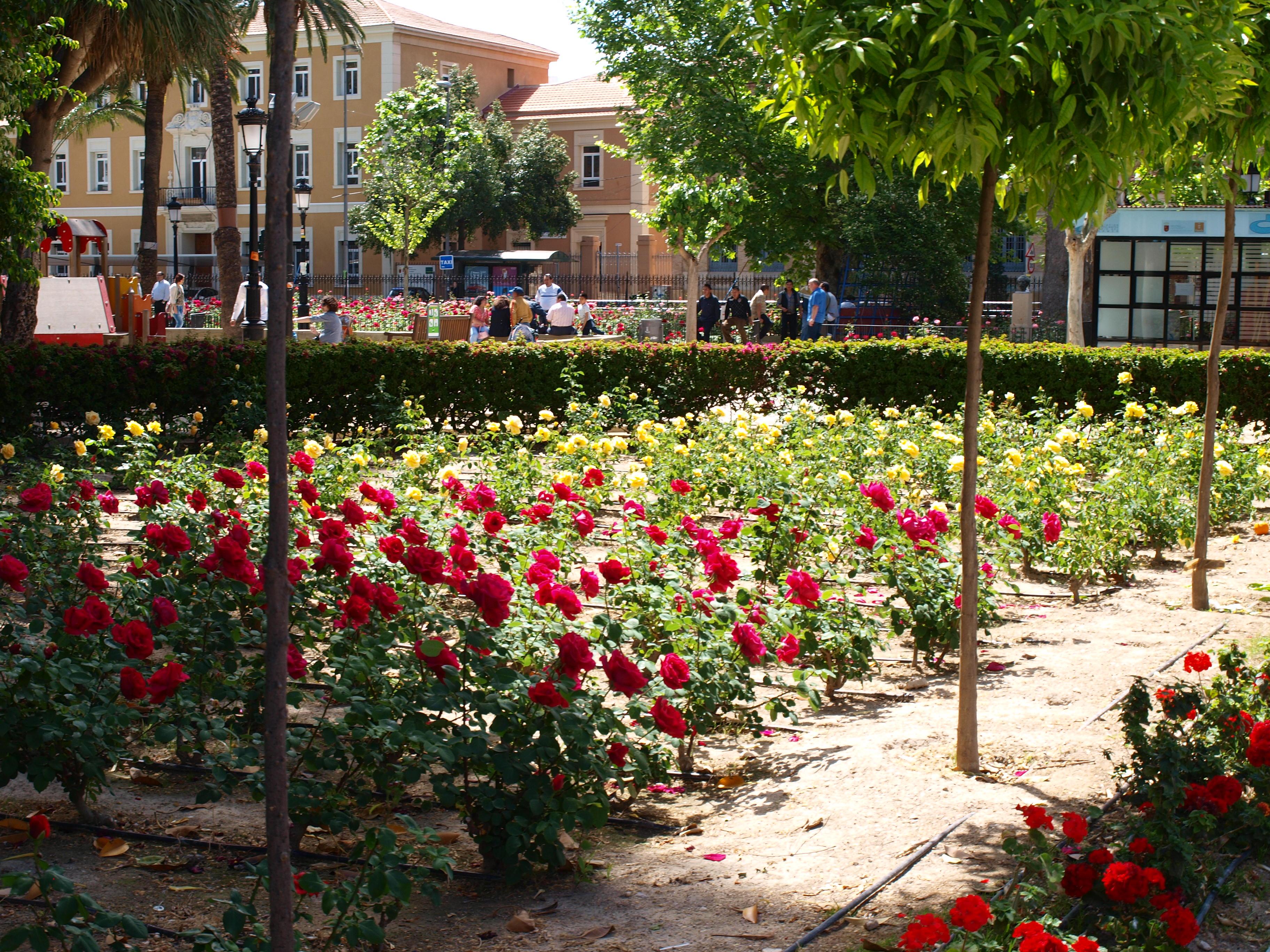 Jardín de Floridablanca, por Rikkupikku