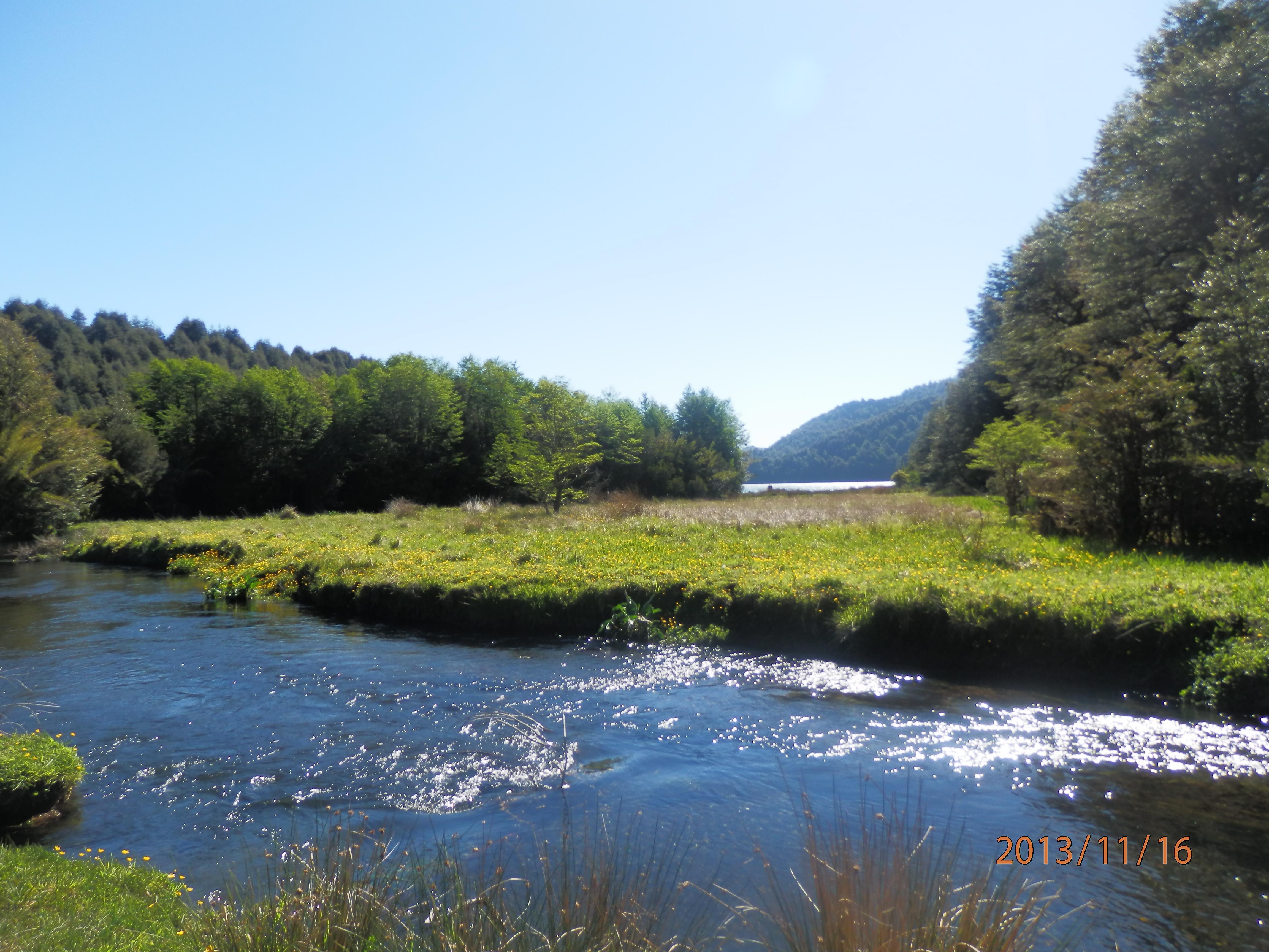 Aire libre en Temuco: descubre los rincones naturales que enamoran