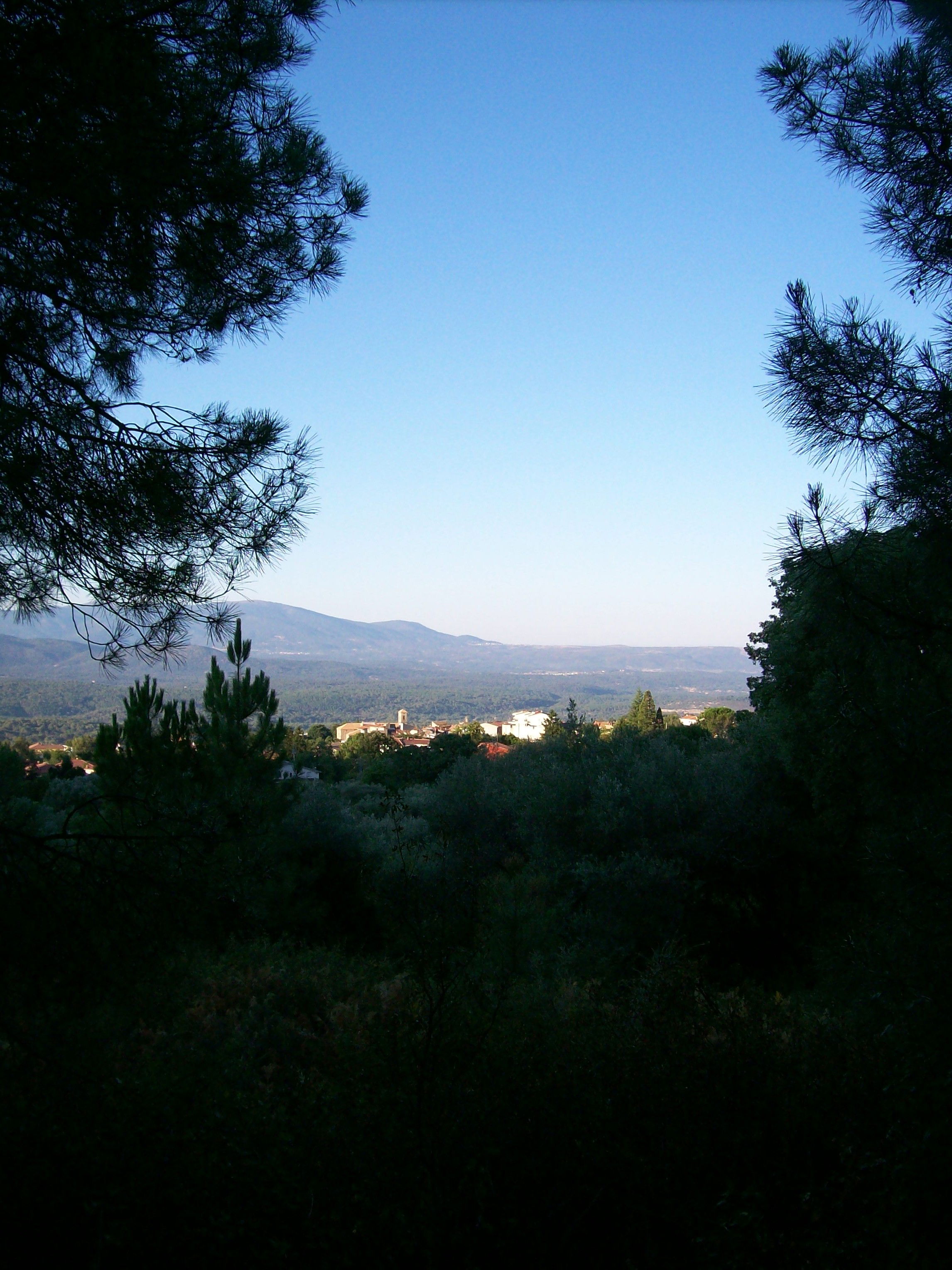 Paseo Tempranero, por aMatalasviñas