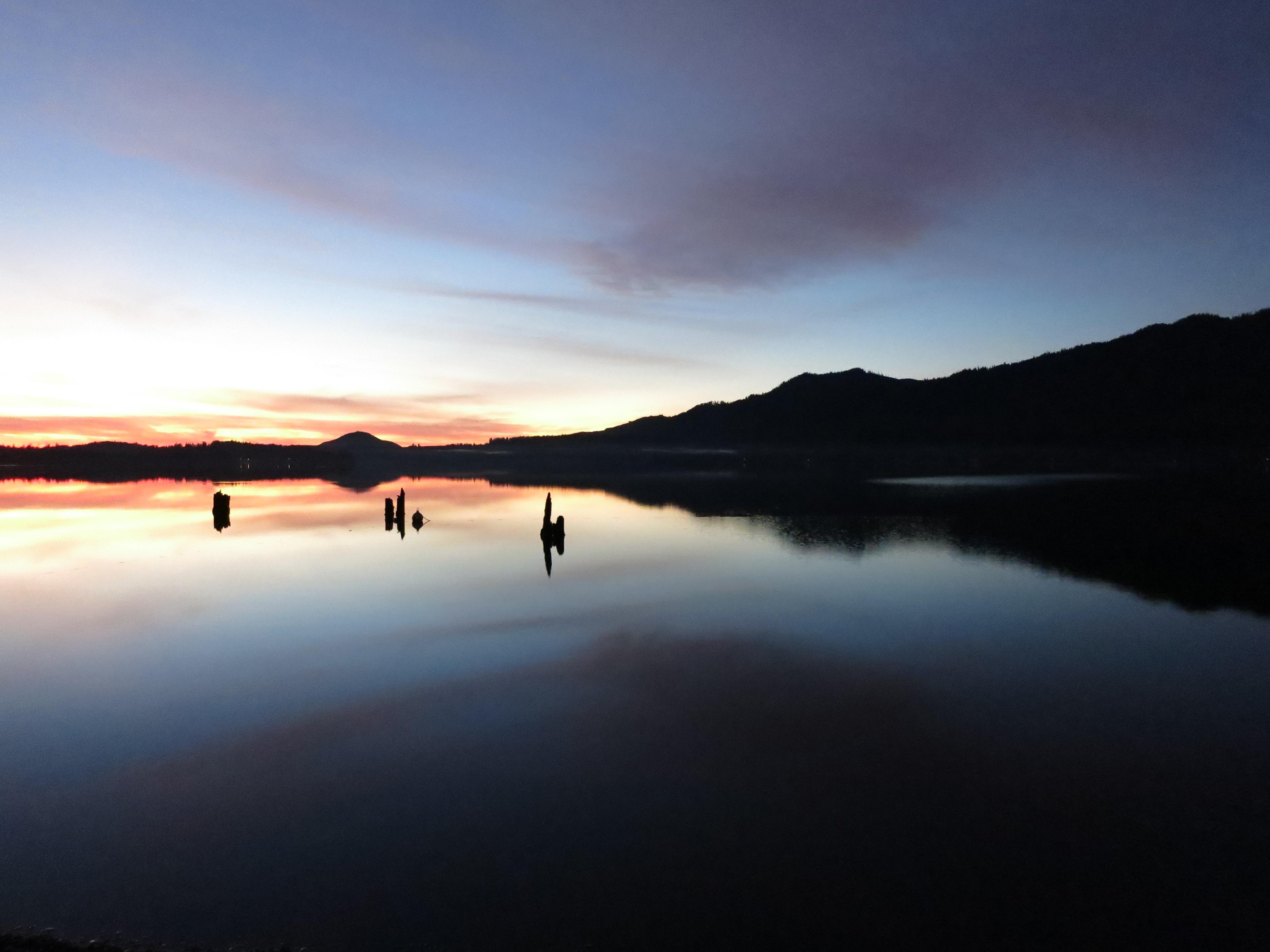 Lake Quinault, por Jill Irwin