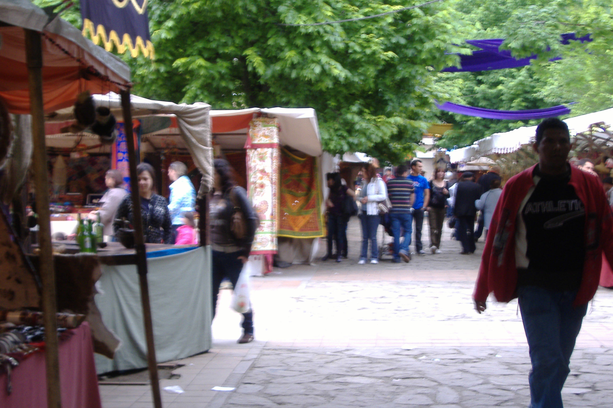 Feria del siglo XIX, por Sasa72