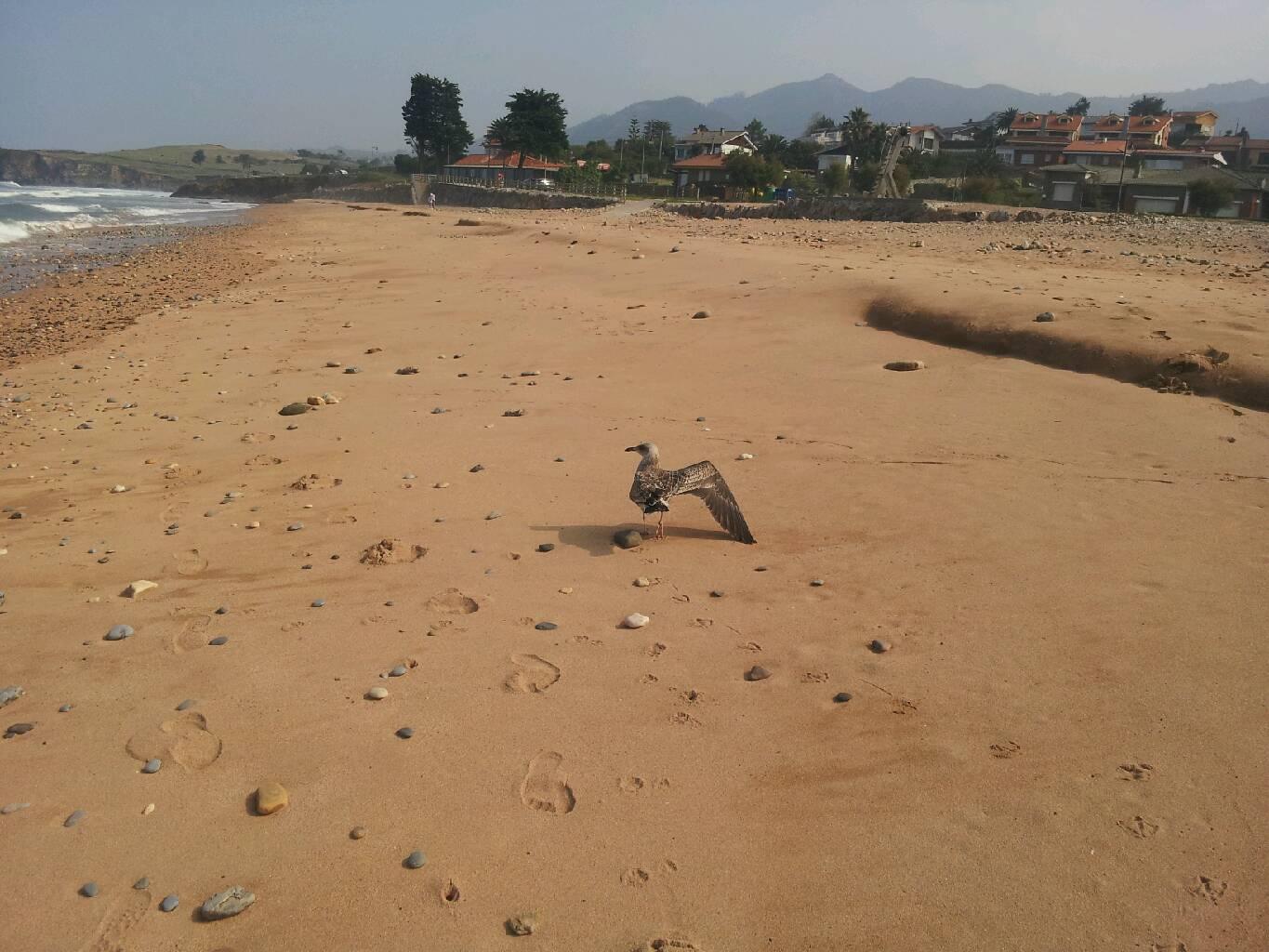 Playa Barrigón, por Raul Caballero