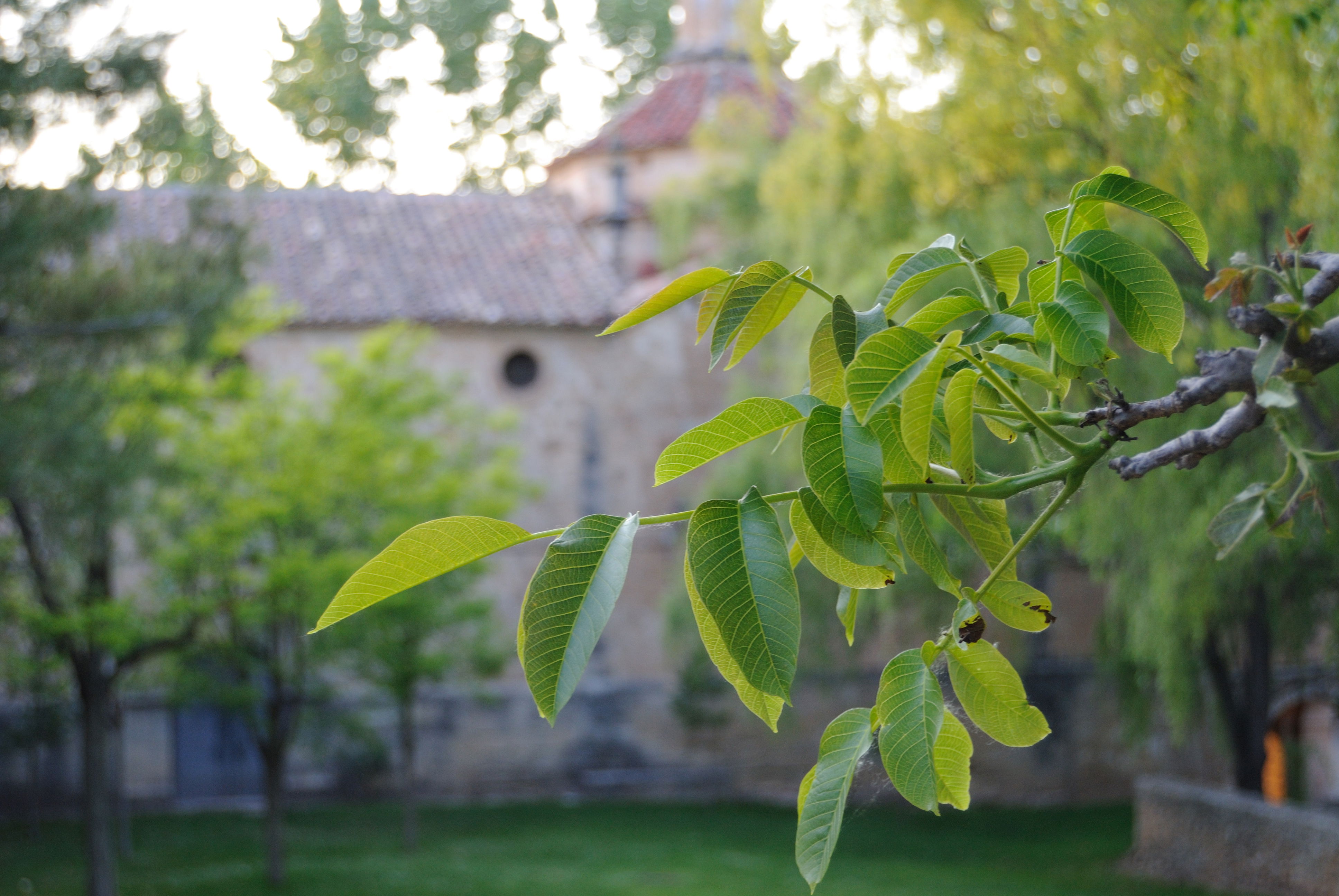 Ermita Virgen de la Fuente, por IvanMF