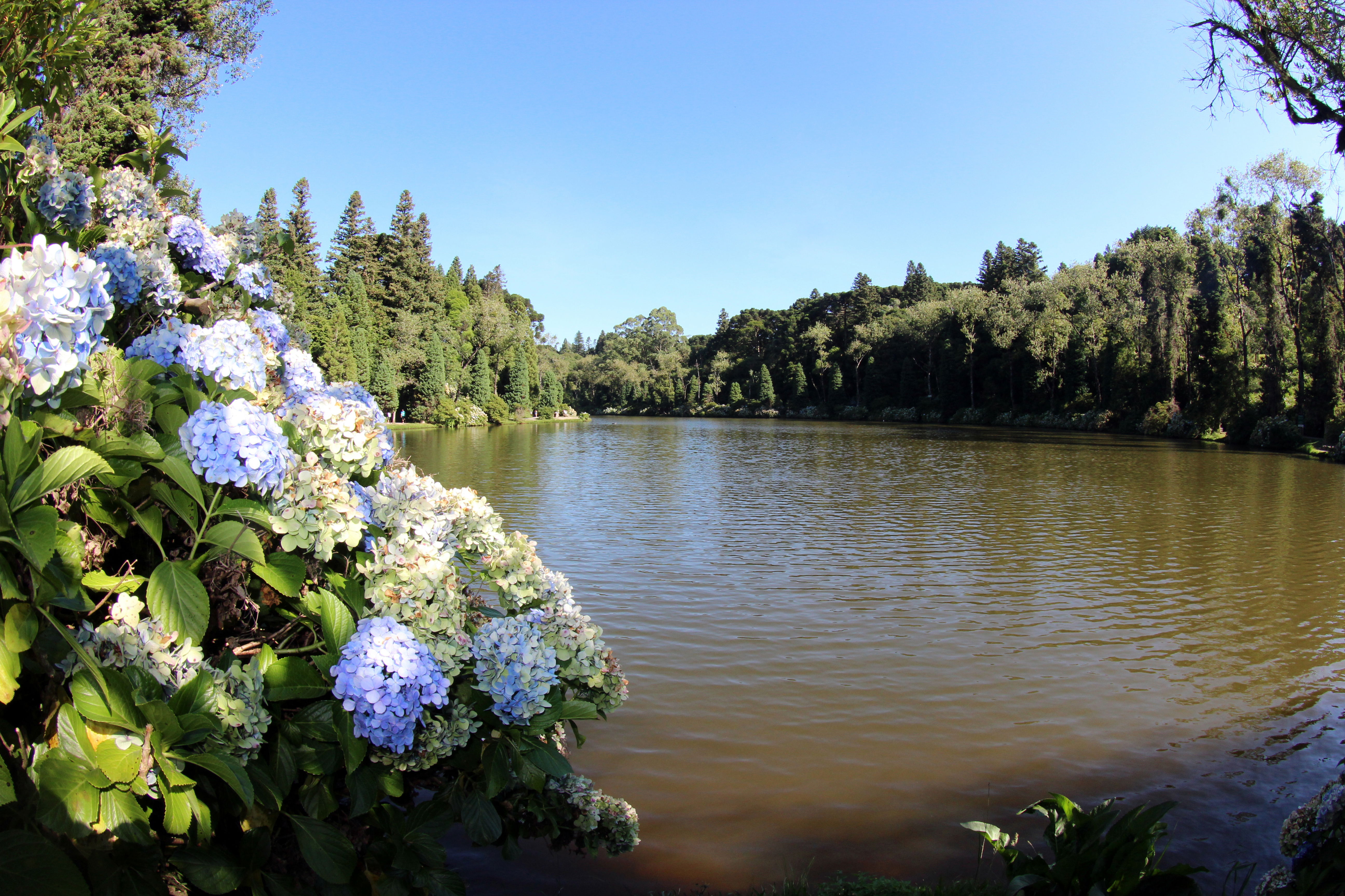 Aire libre en Gramado, un rincón de naturaleza y encanto sin igual