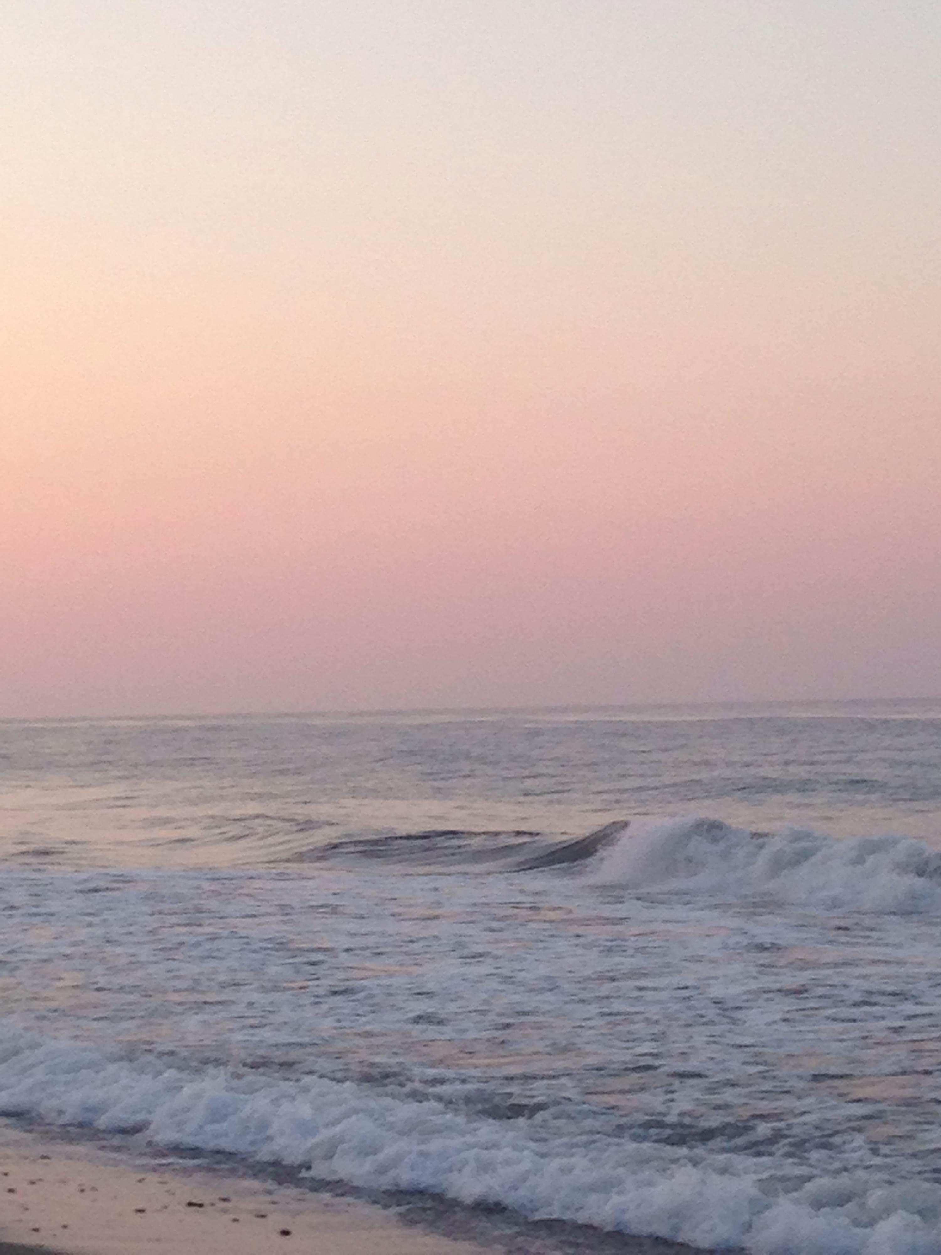 Playa pantaleta, por Francia Espinoza