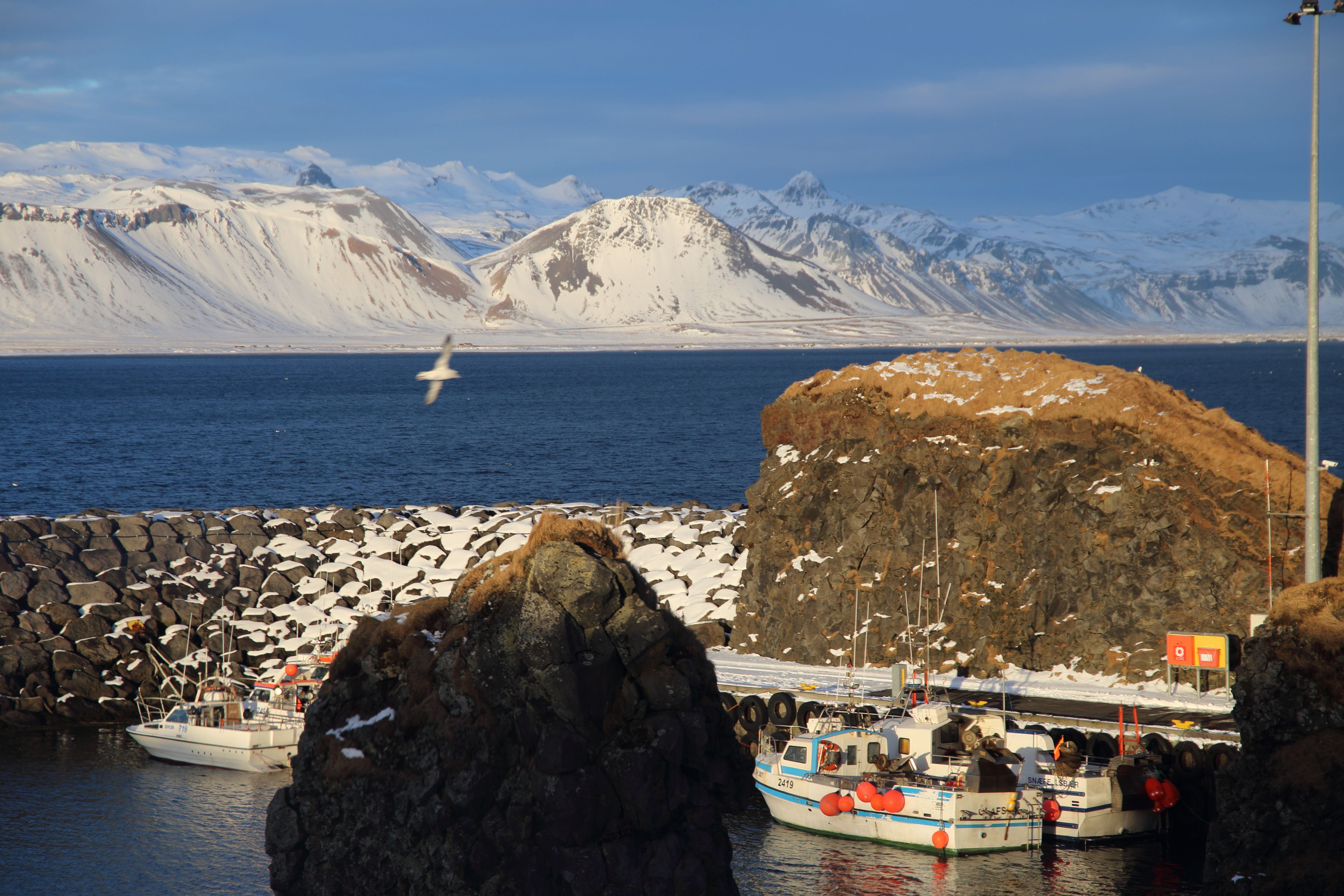 Puertos en Islandia: descubre los tesoros marítimos del país nórdico