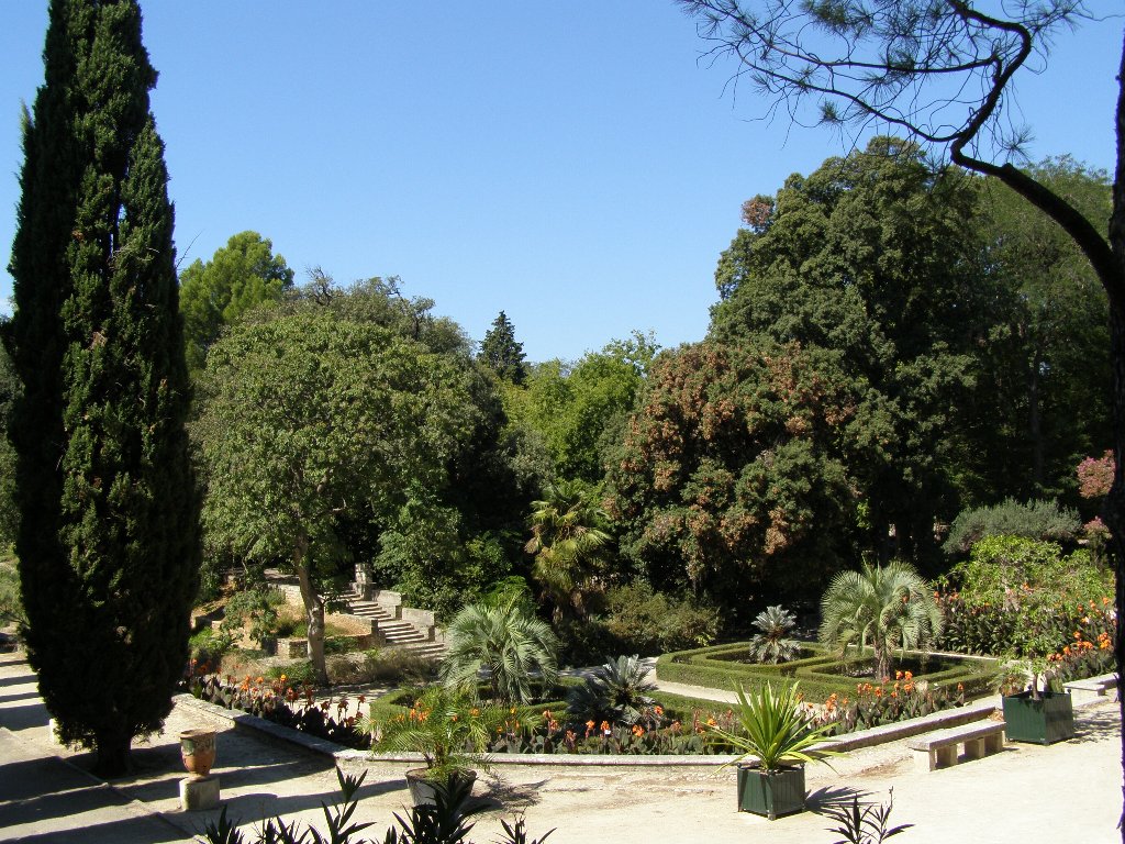 Jardin Des Plantes De Montpellier, por nuria
