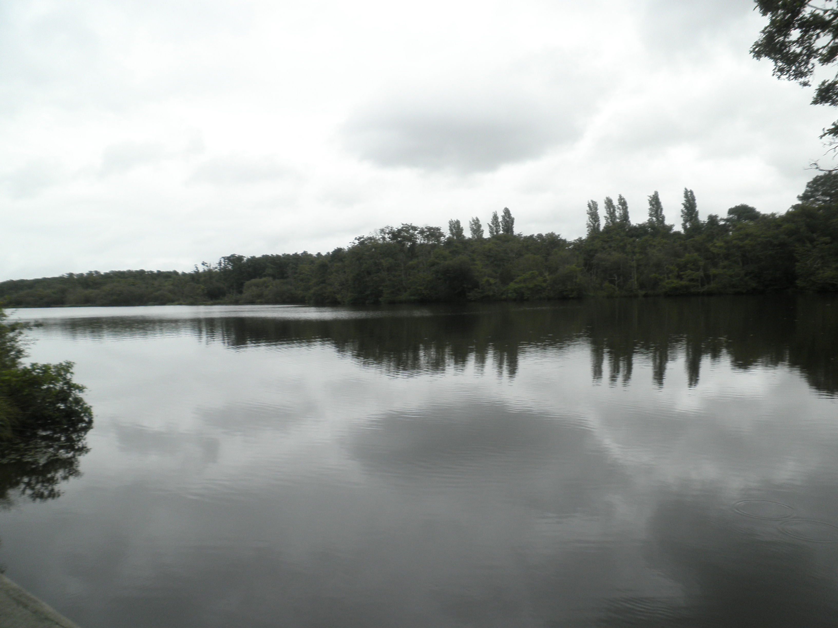 Lago de Aureilhan, por Bénédicte RODRIGUEZ