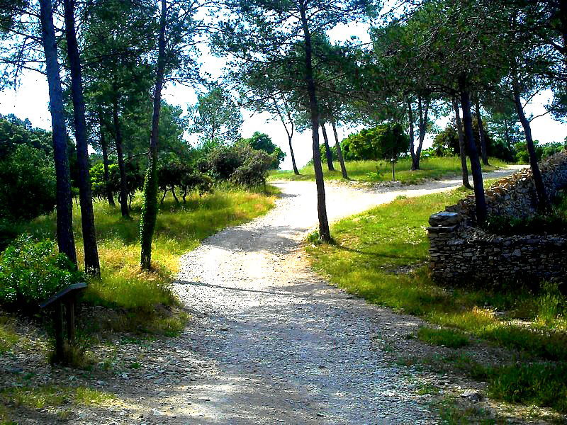 Le Bois des Espeisses, por Olivier Peyre