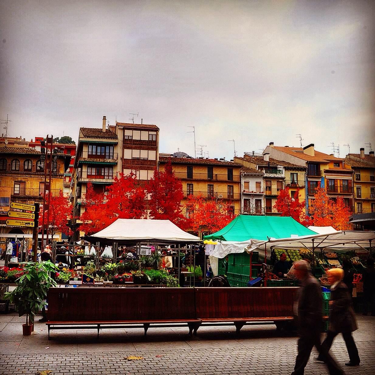 Mercado en Estella, por Eduardo Santamaría Barbarin