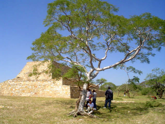 La Mesa (Ruinas de Tehuacán Viejo), por Morya