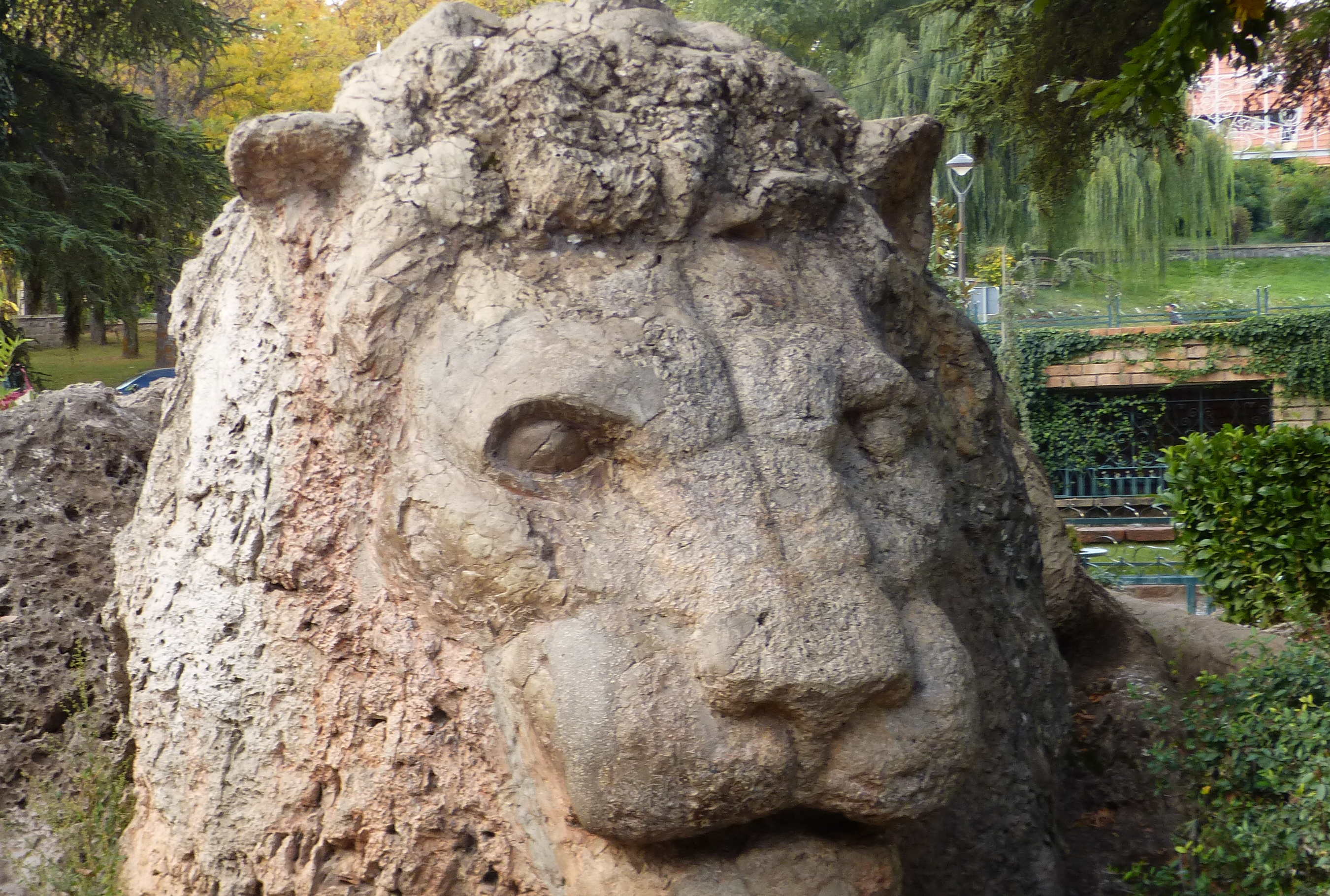 El leon de Ifrane, por MundoXDescubrir