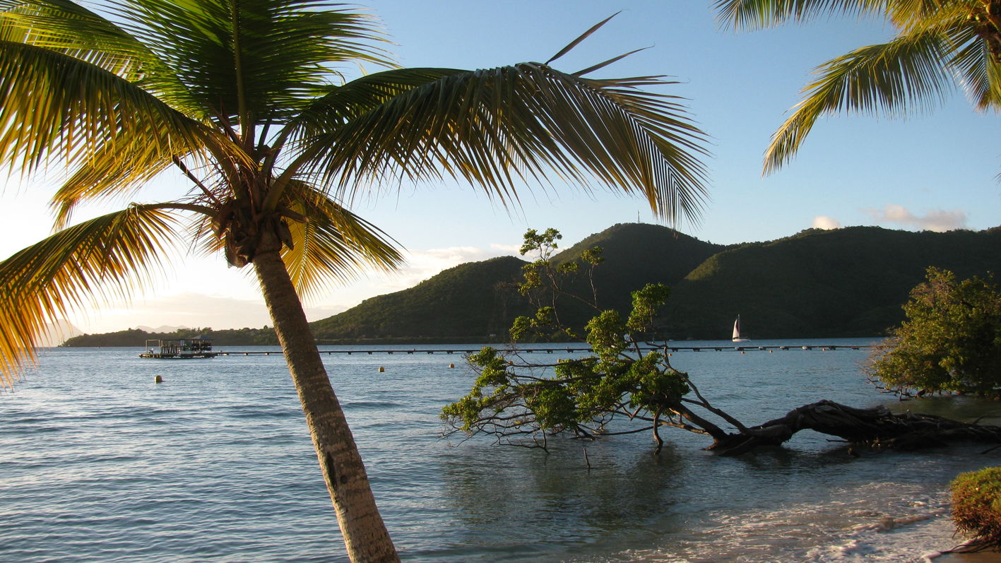 Playa de Sainte Anne, por Claudia 