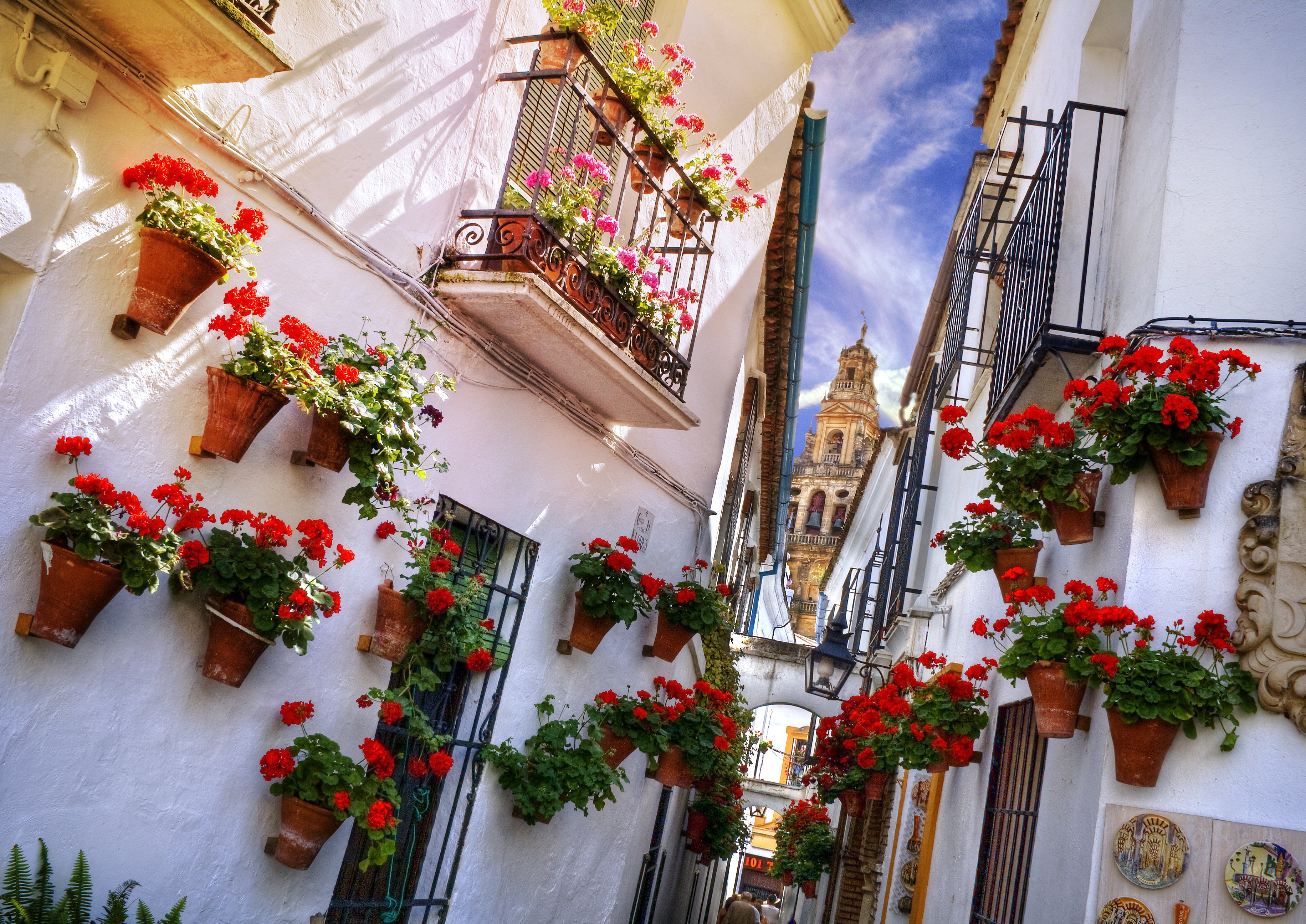 Street of flowers. Испания Кордова Цветочная улица. Цветущие улочки Испании. Севилья цветочные улочки. Испания город в цветах Кордова.