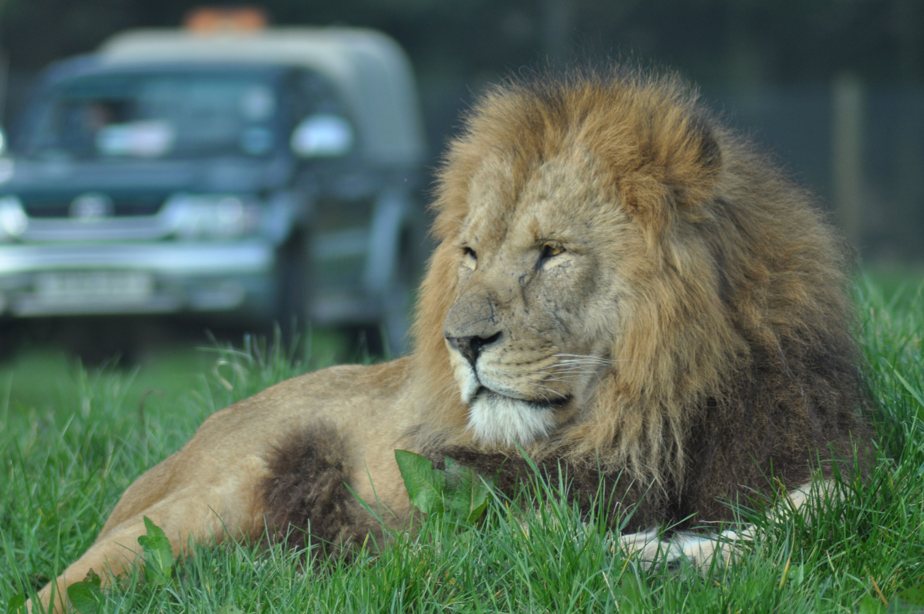 Parque Safari de Blair Drummond, por eXplorador Escocés