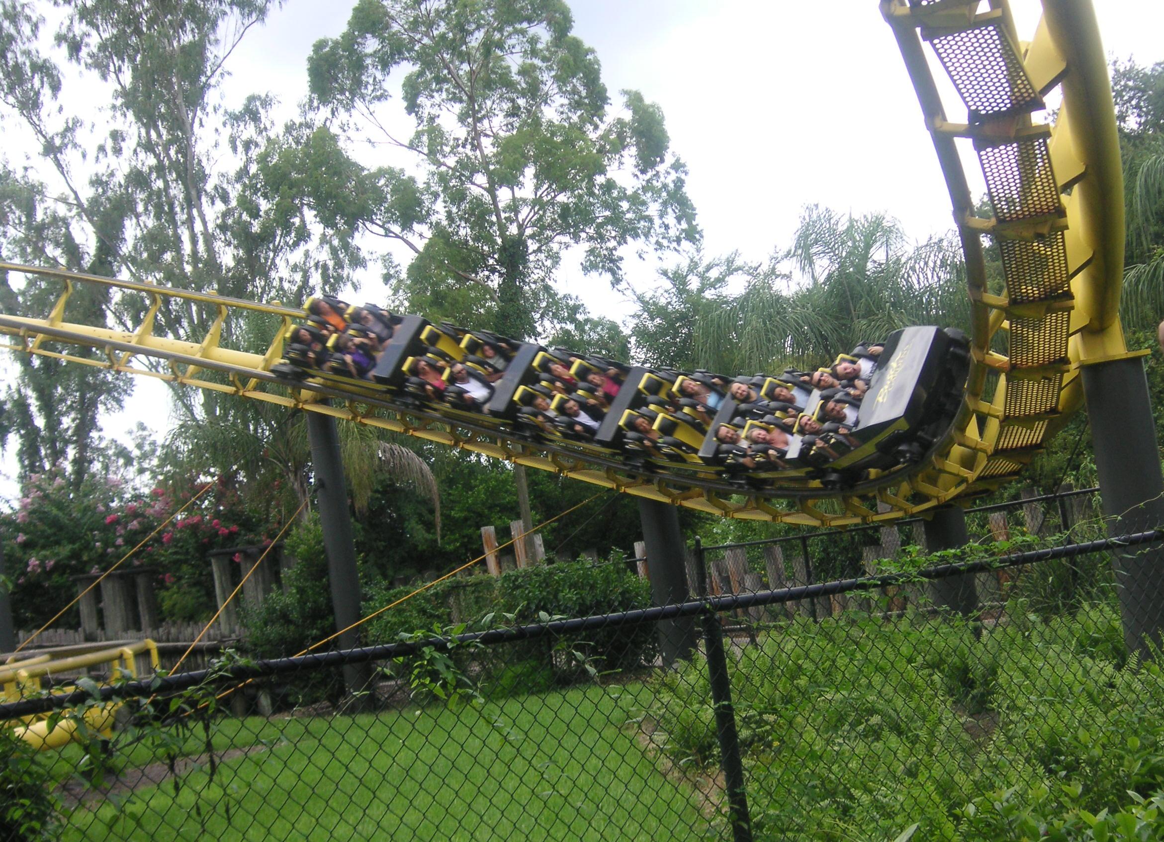 Busch Gardens, por kbein