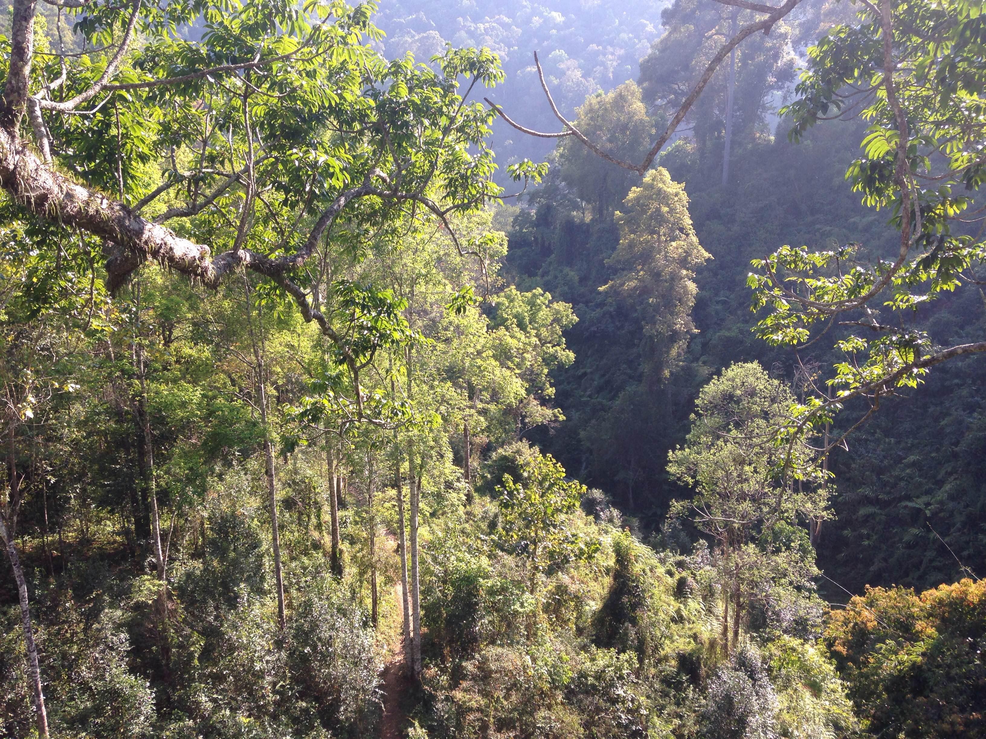 De Chiang Mai a Chiang Rai, por Veronica Trujillo Goldstein