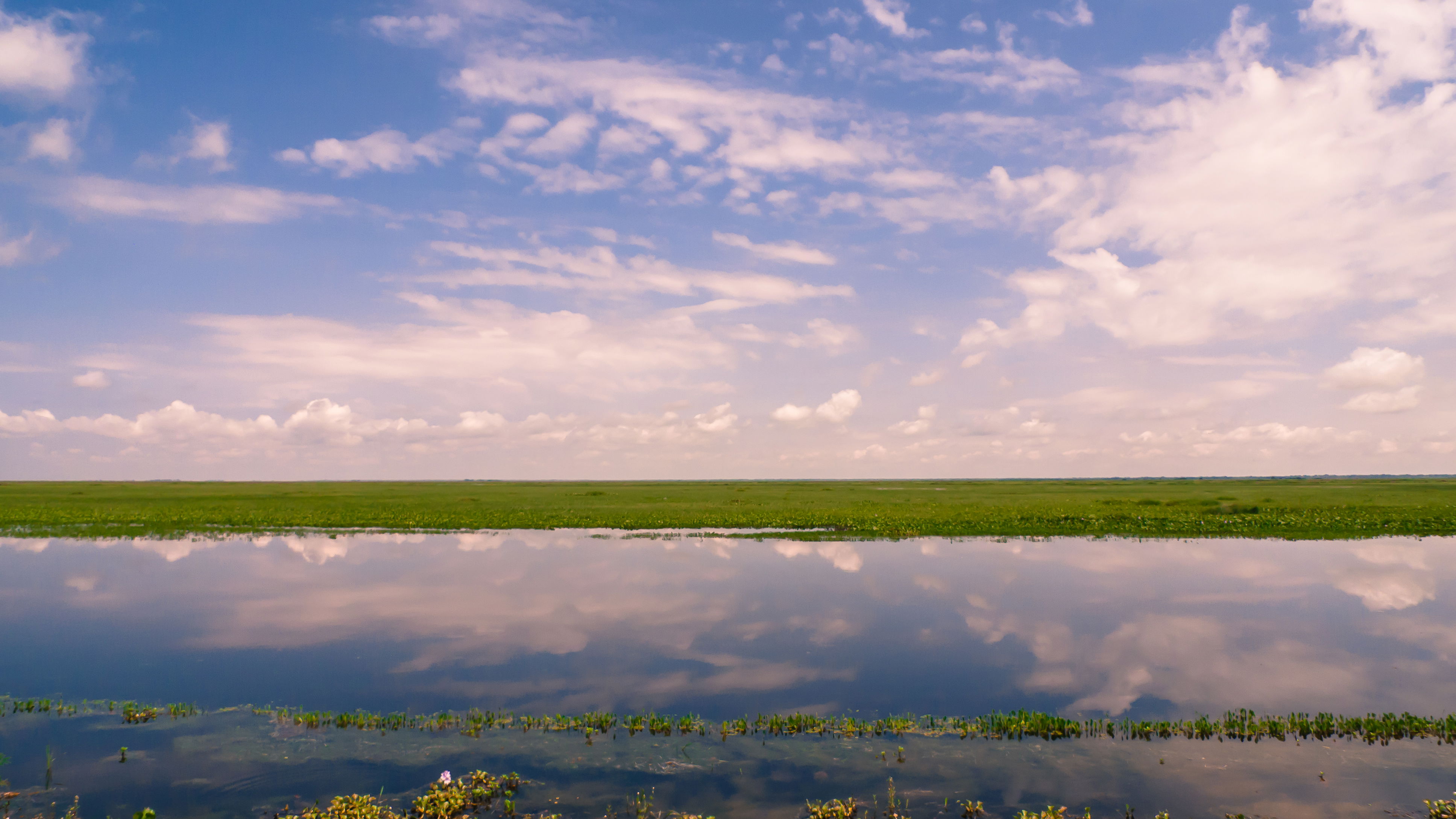 Llanos del Orinoco, por David Ruiz Luna