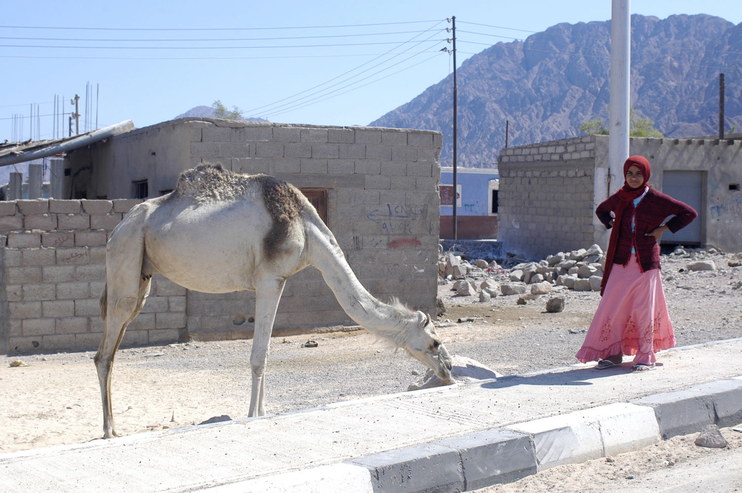 Nuweiba, por Marta Padilla