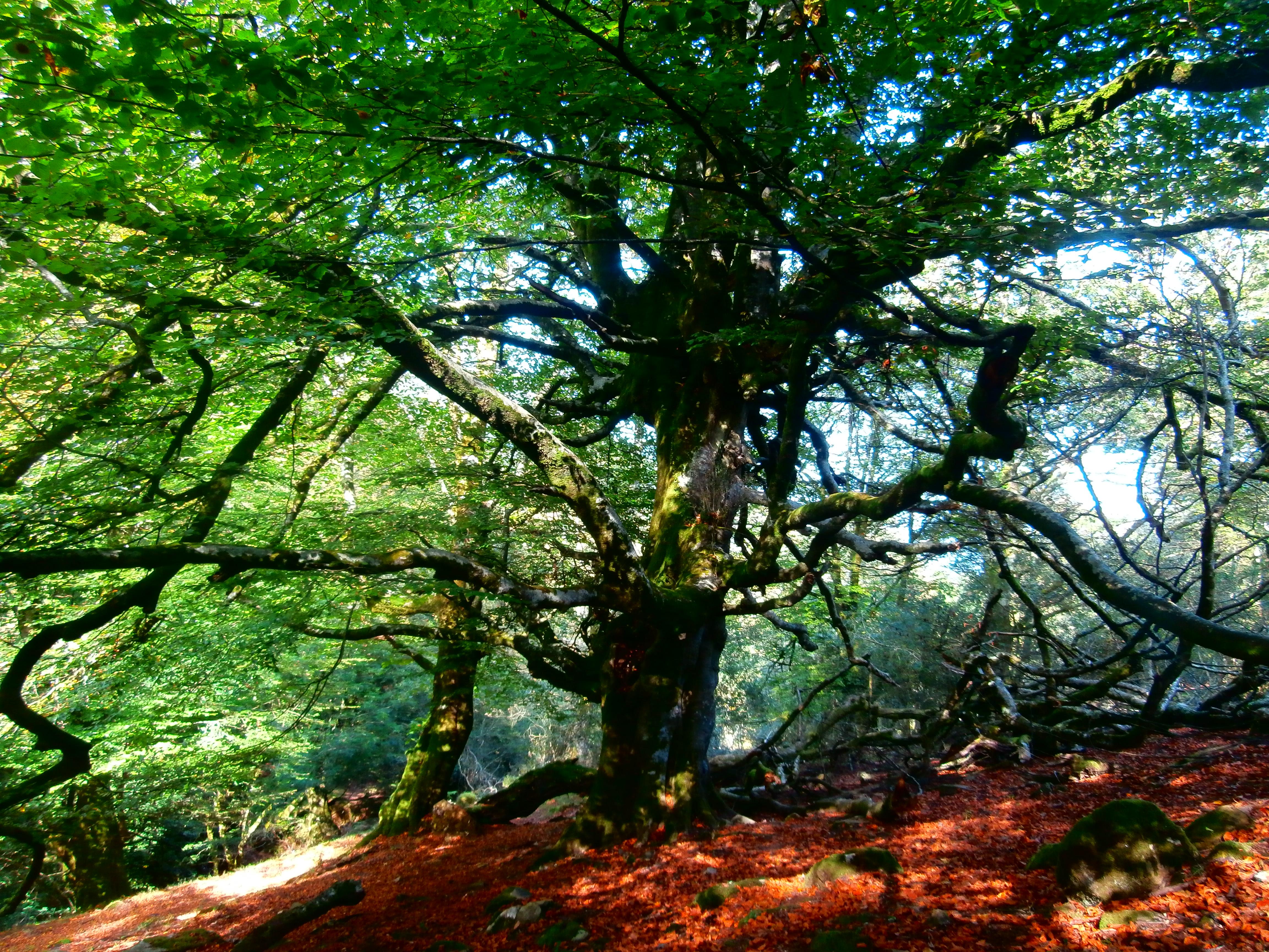 Aire libre en Colunga, descubre sus espacios naturales y rincones ocultos