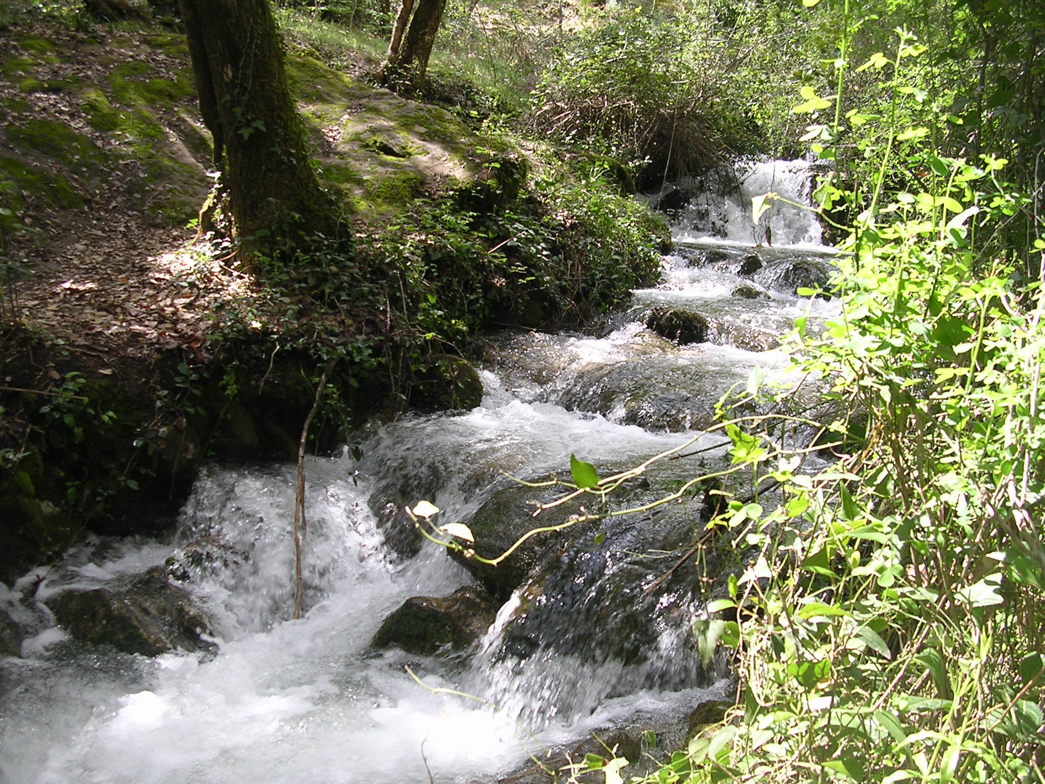 Segura de la Sierra, por MANUELA LITRÁN GALLEGO