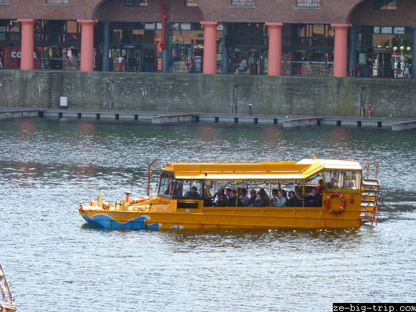 Yellow Duck Marine, por Roland Flutet