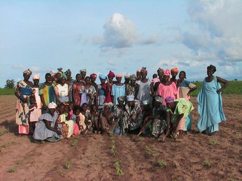 Grupo de Interés Económico de mujeres de Ngayene, por paulinette