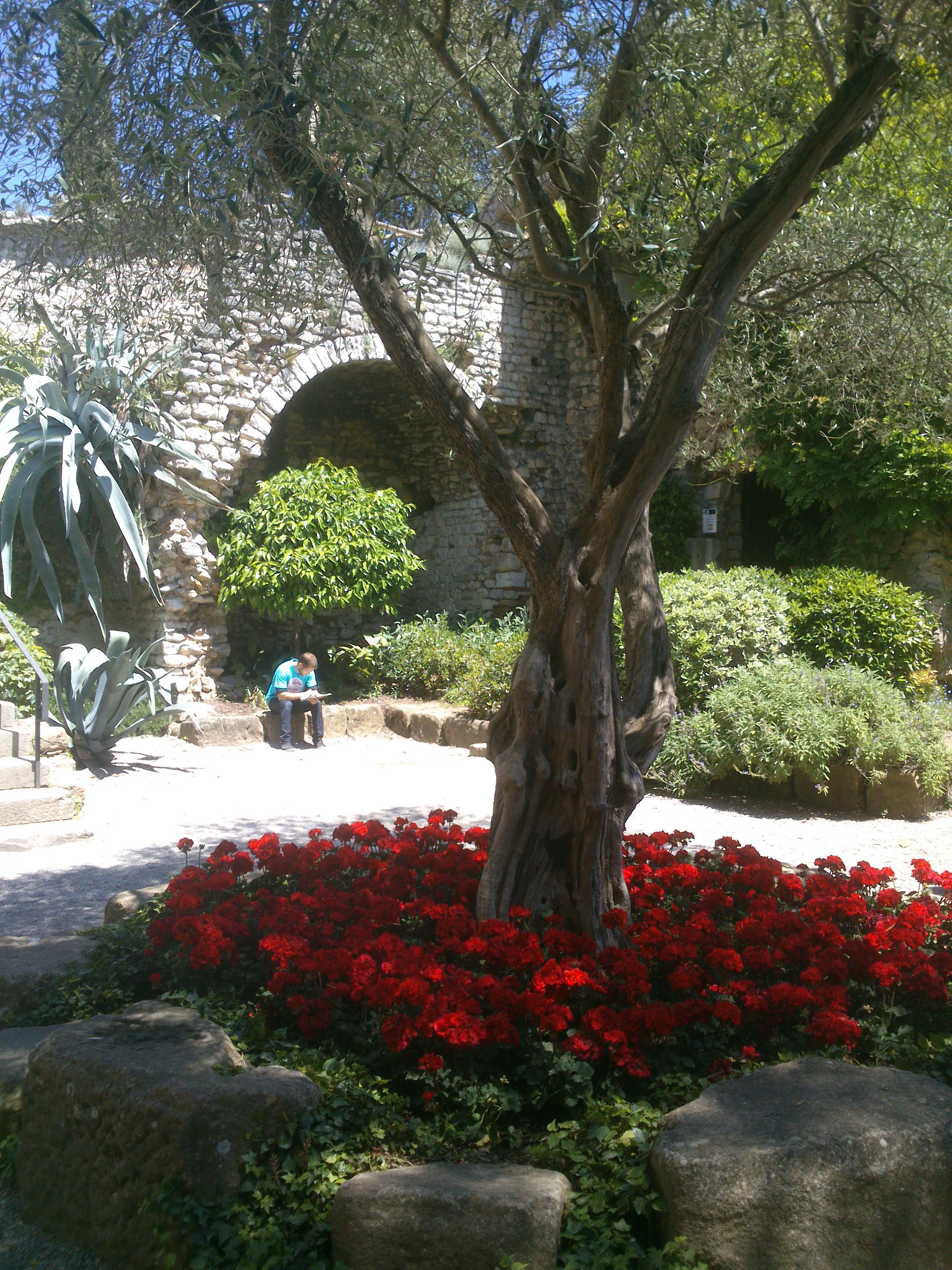 Jardín dels Alemanys, por Dónde vamos Eva