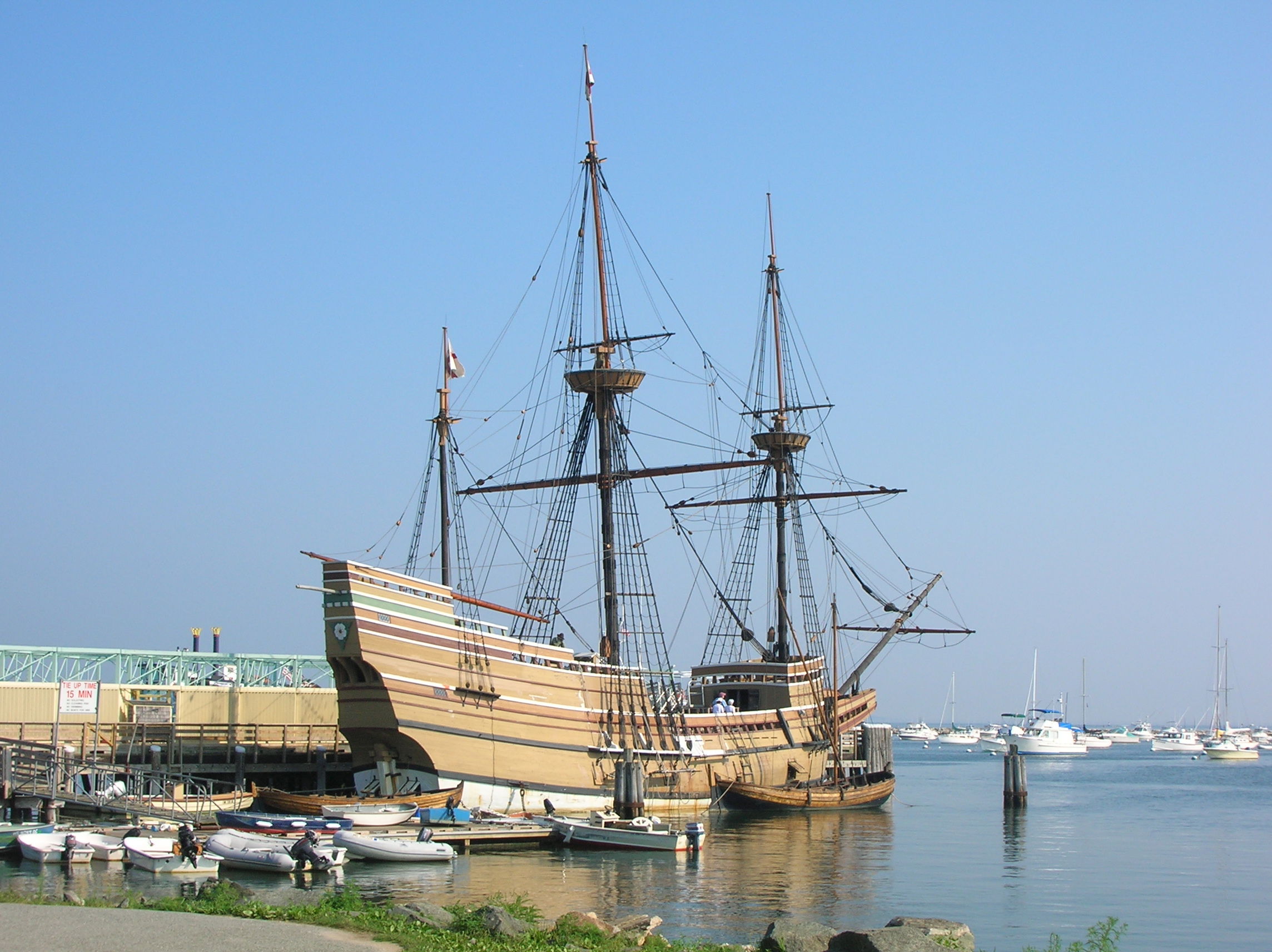 Plymouth Rock, por Laurène Le Martelot