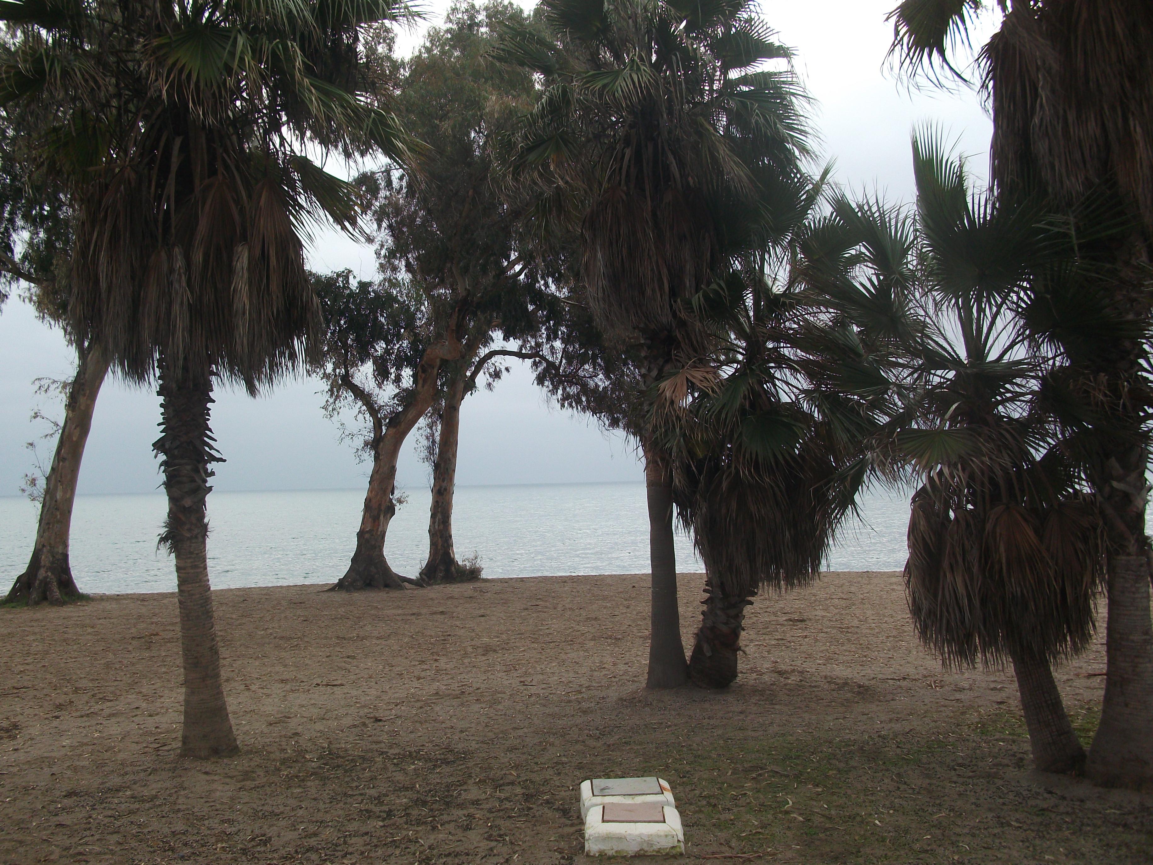 Playa de San Pedro de Alcántara, por Marilo Marb
