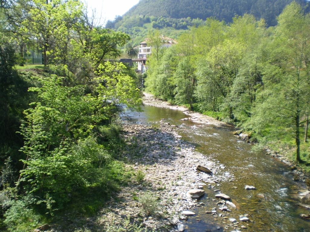 Río Pas a su paso por Puente Viesgo, por Lala
