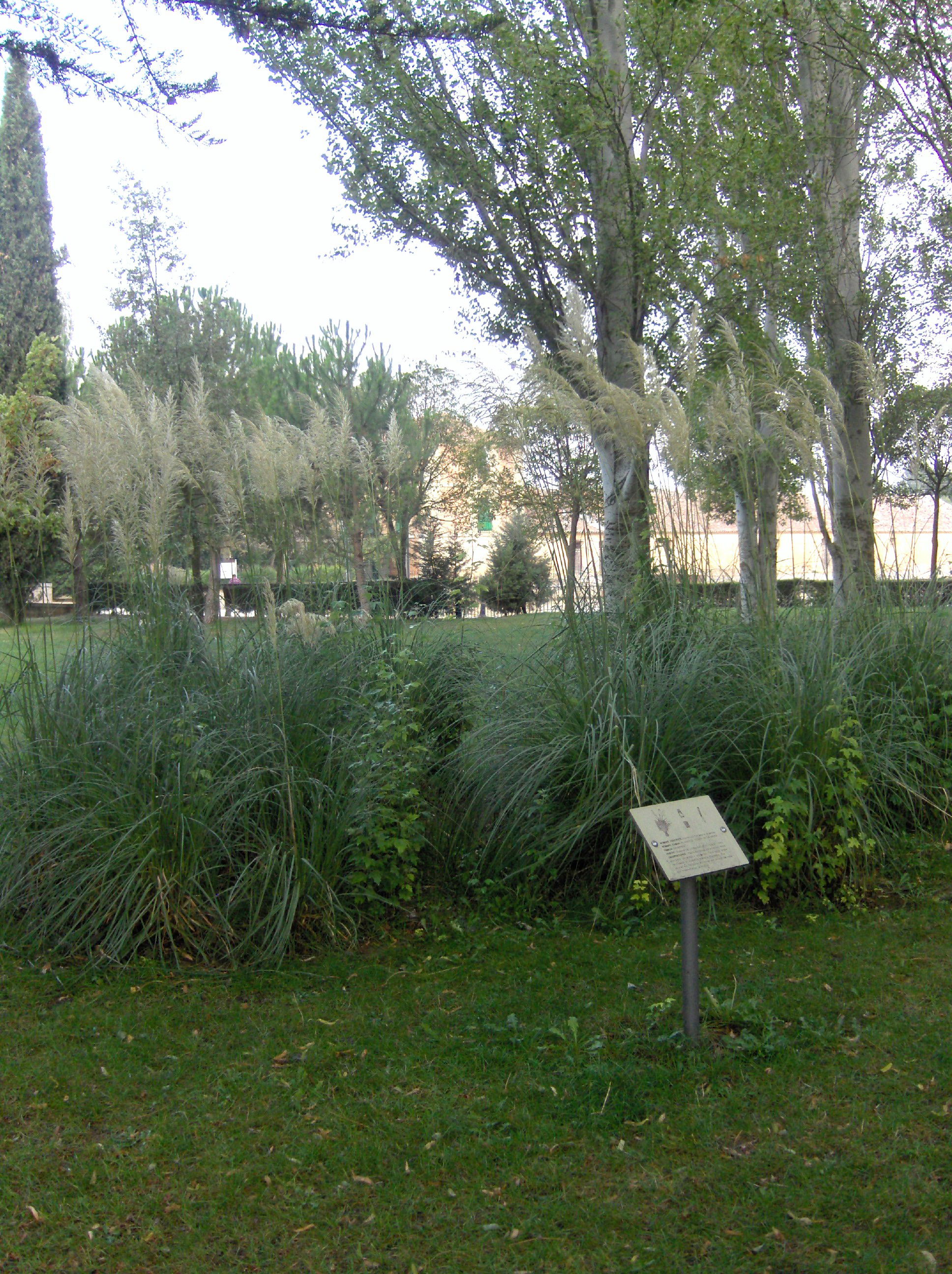 Parque de La Concha, por Yoli ChamBa