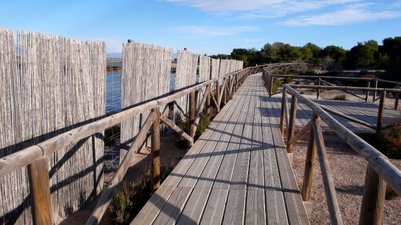 La Marina di Elche, por PierLuigi Galliano