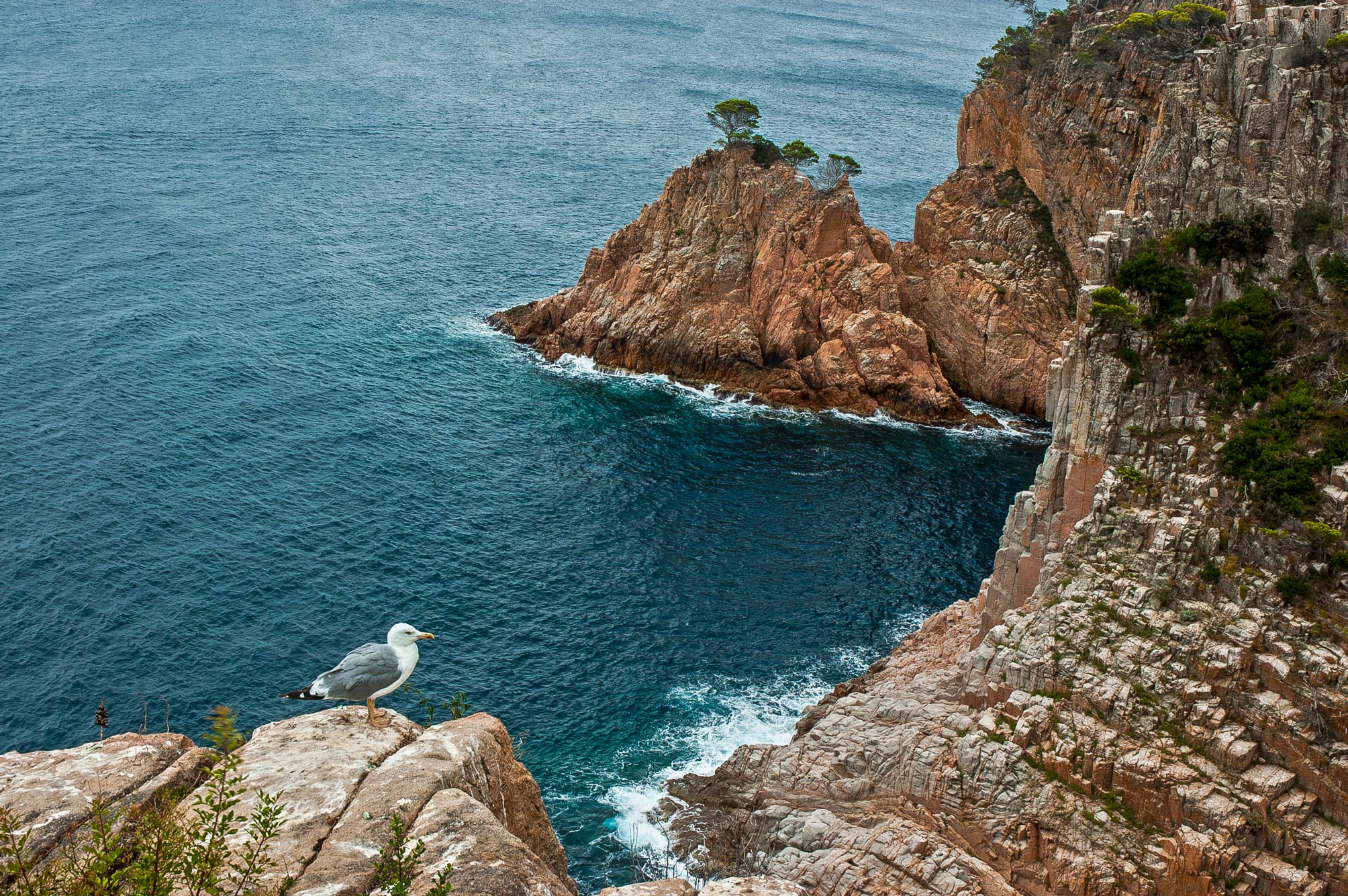 Punta d’Es Mut, por Alfonso Navarro Táppero