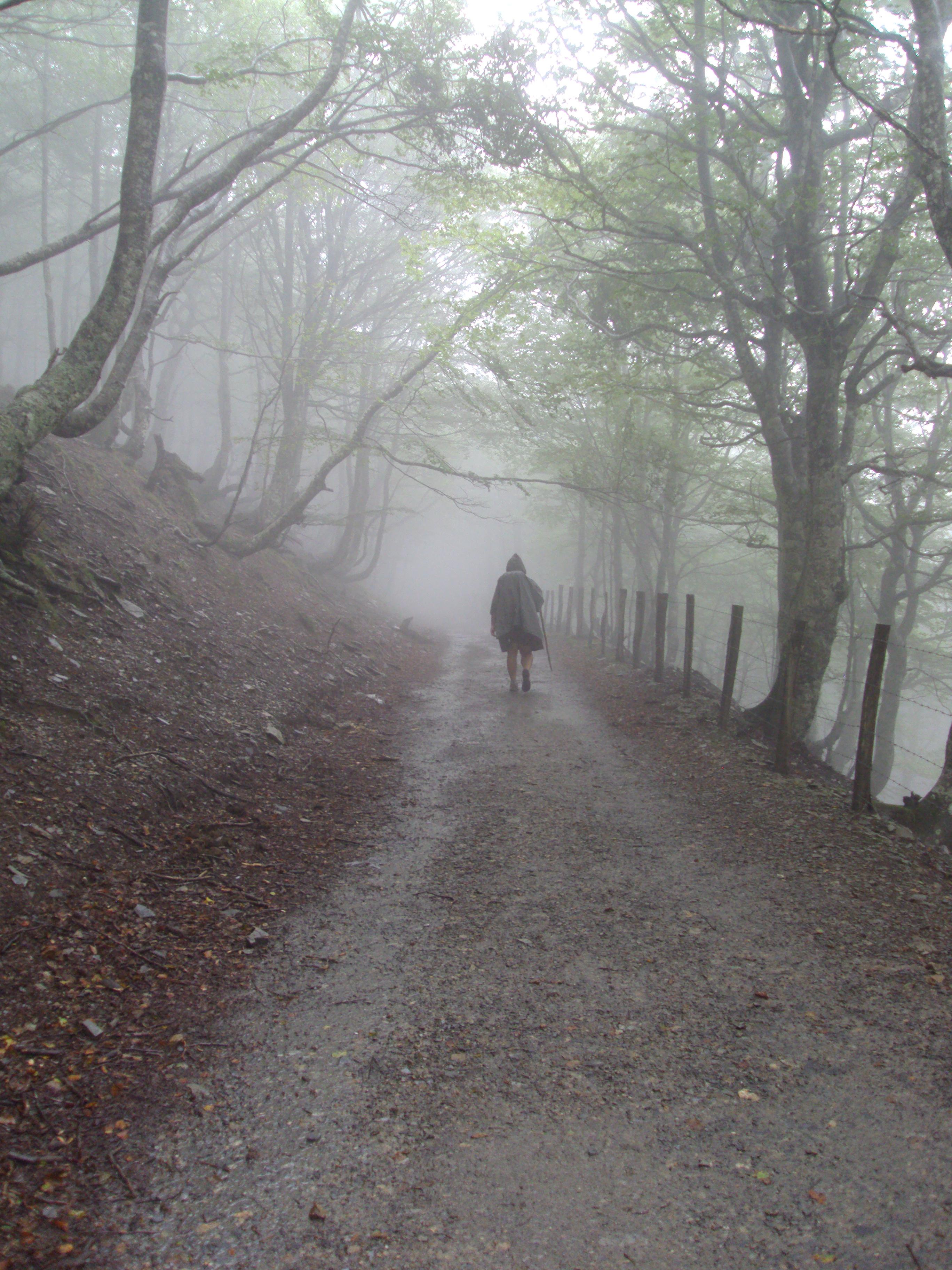 Roncesvalles, por Jaume Ribes 