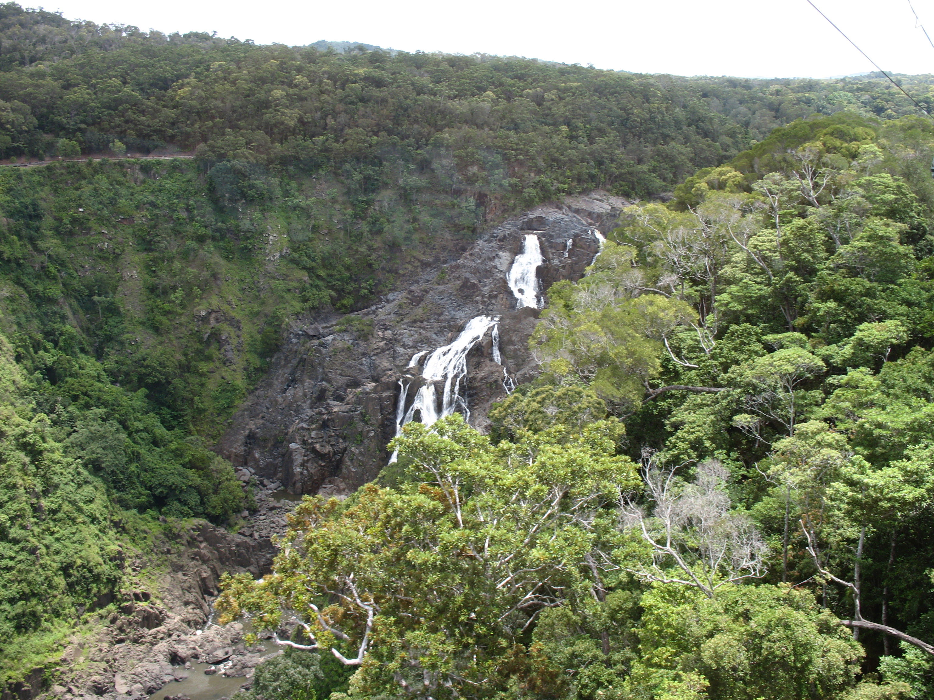 Skyrail Rainforest Cableway, por David Lopez