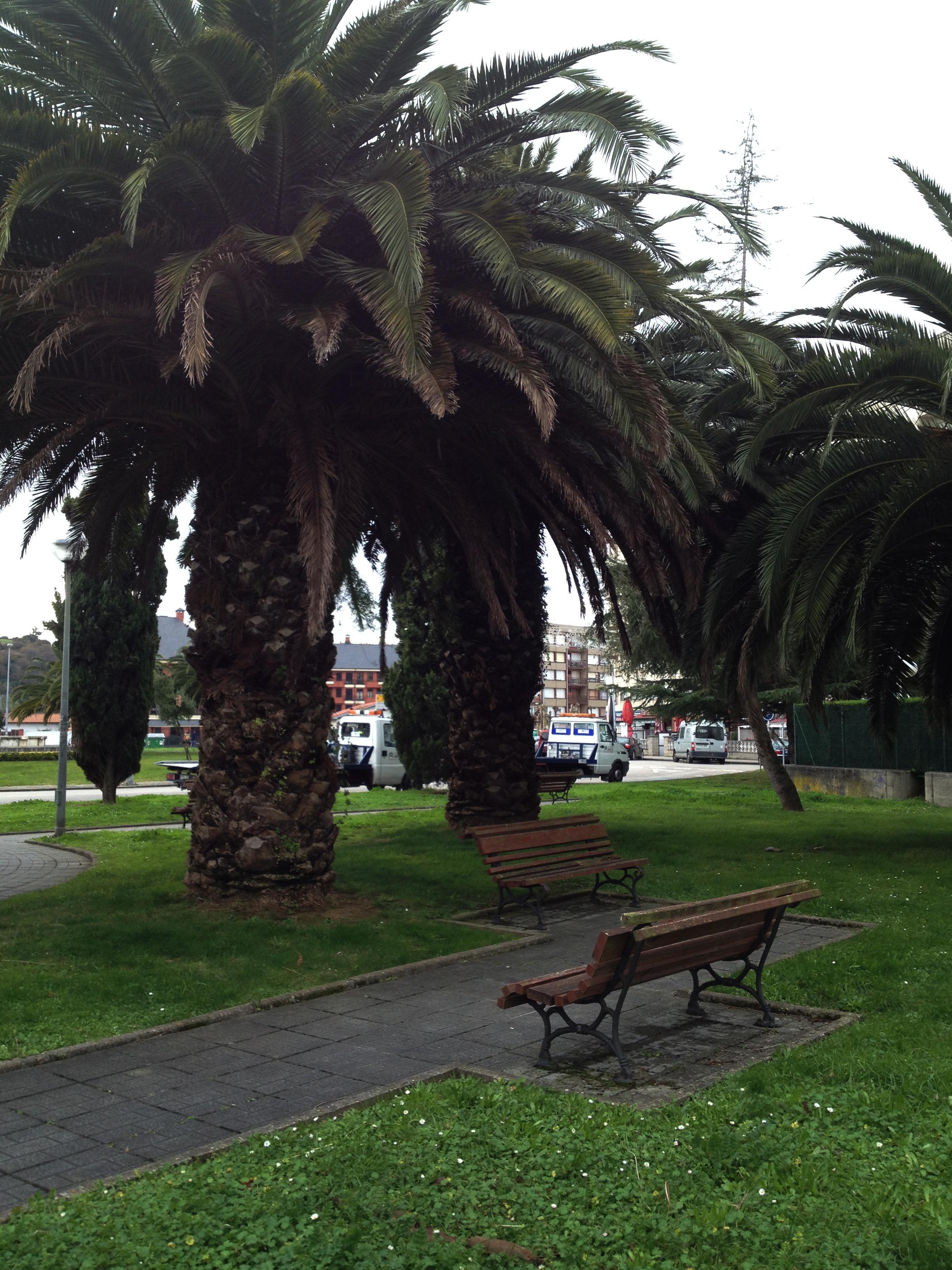 Parque de la Avenida de Francia, por Cristina E Lozano