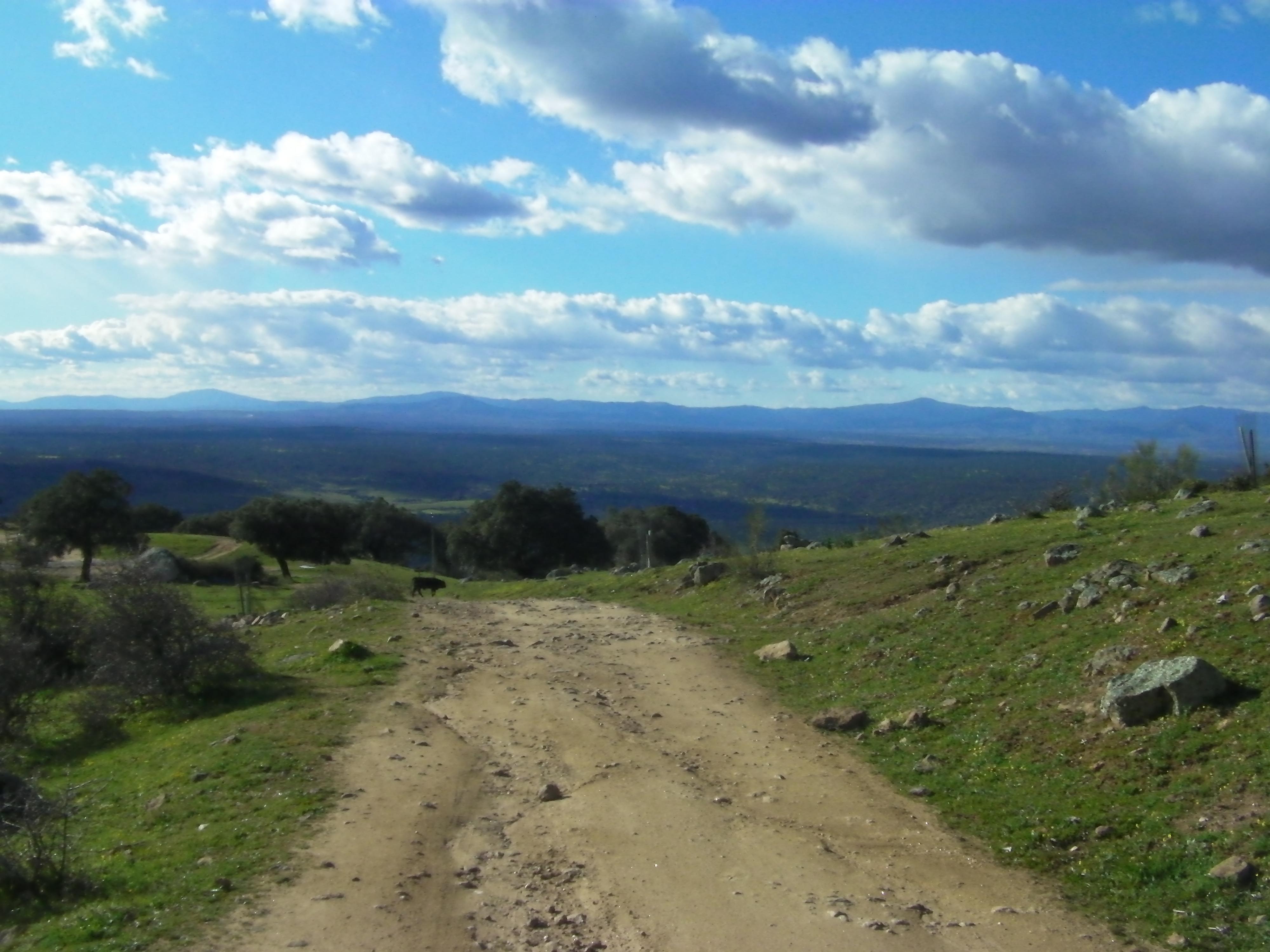 Ruta Canina Plasencia, por David Cerro Herrero