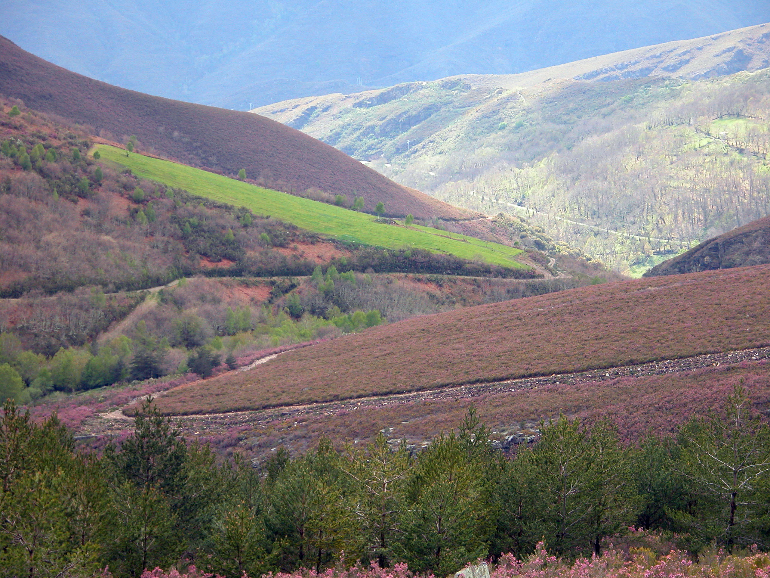 Sierra del Caurel, por Manuel Riveiro Parcero
