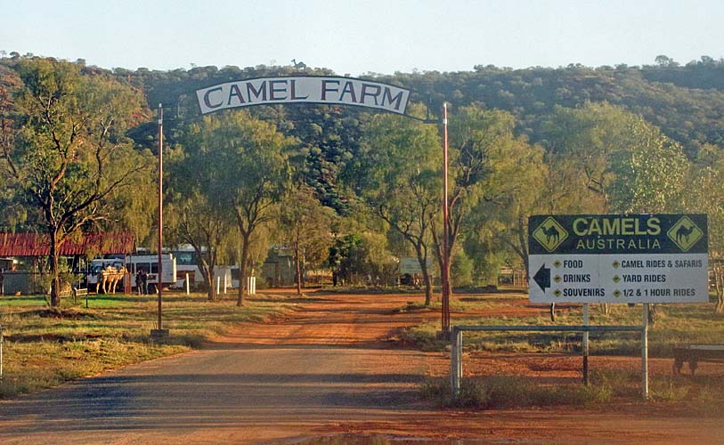 Outback Camel Farm, por mmatiaspinto