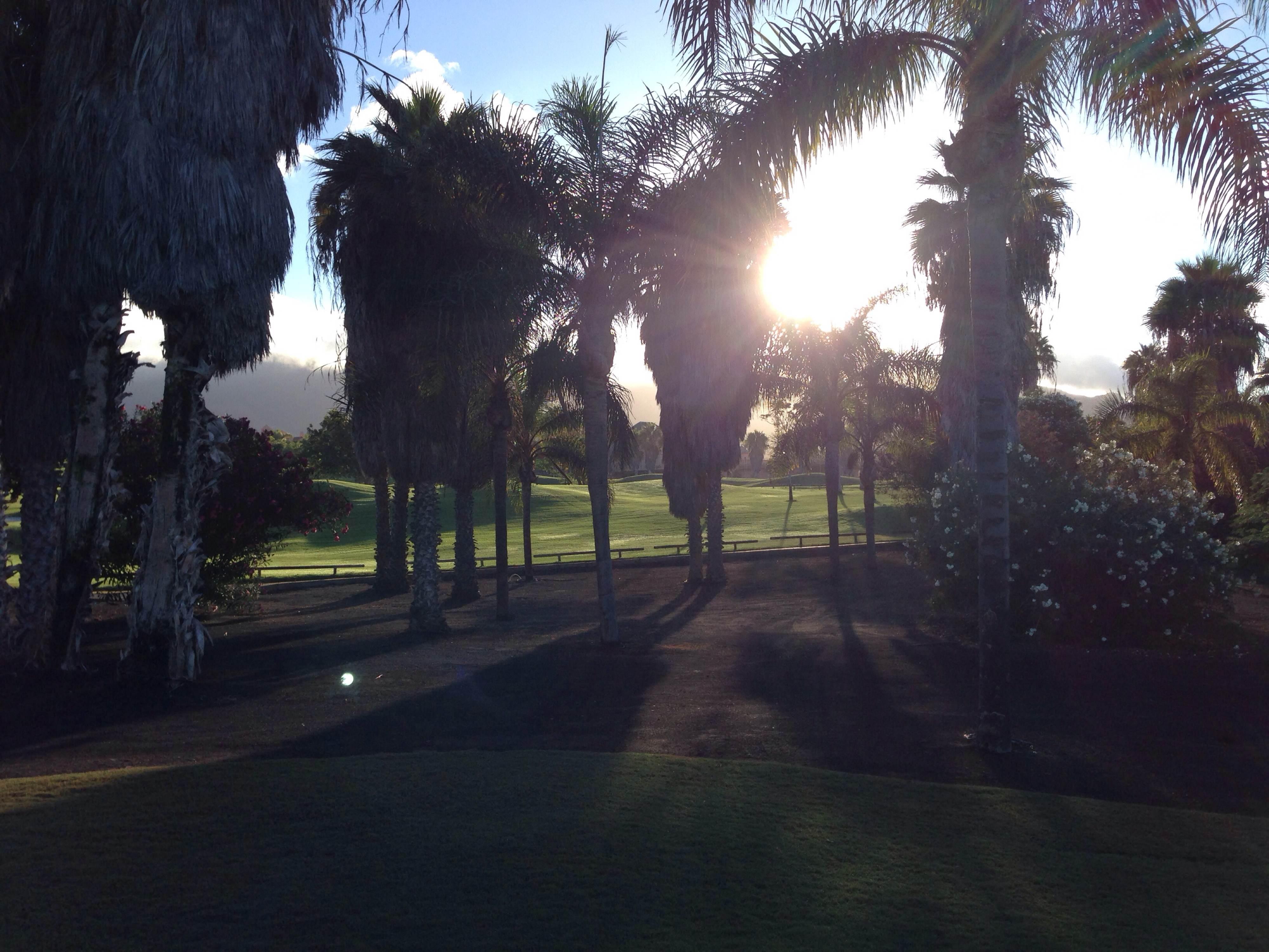 Descubre los encantadores campos de golf en Tenerife y su espectacular belleza