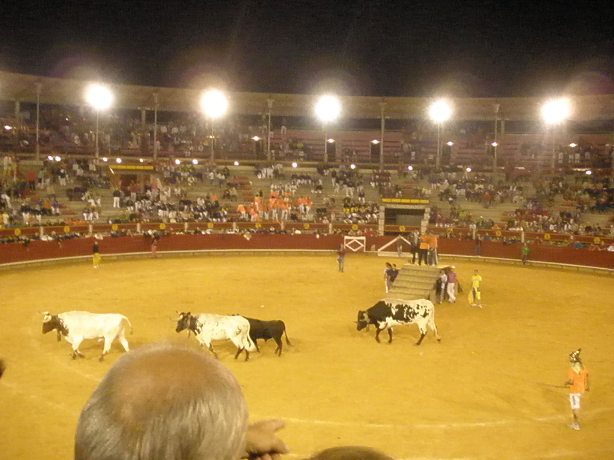 Fiestas de Laguna de Duero, por mmozamiz