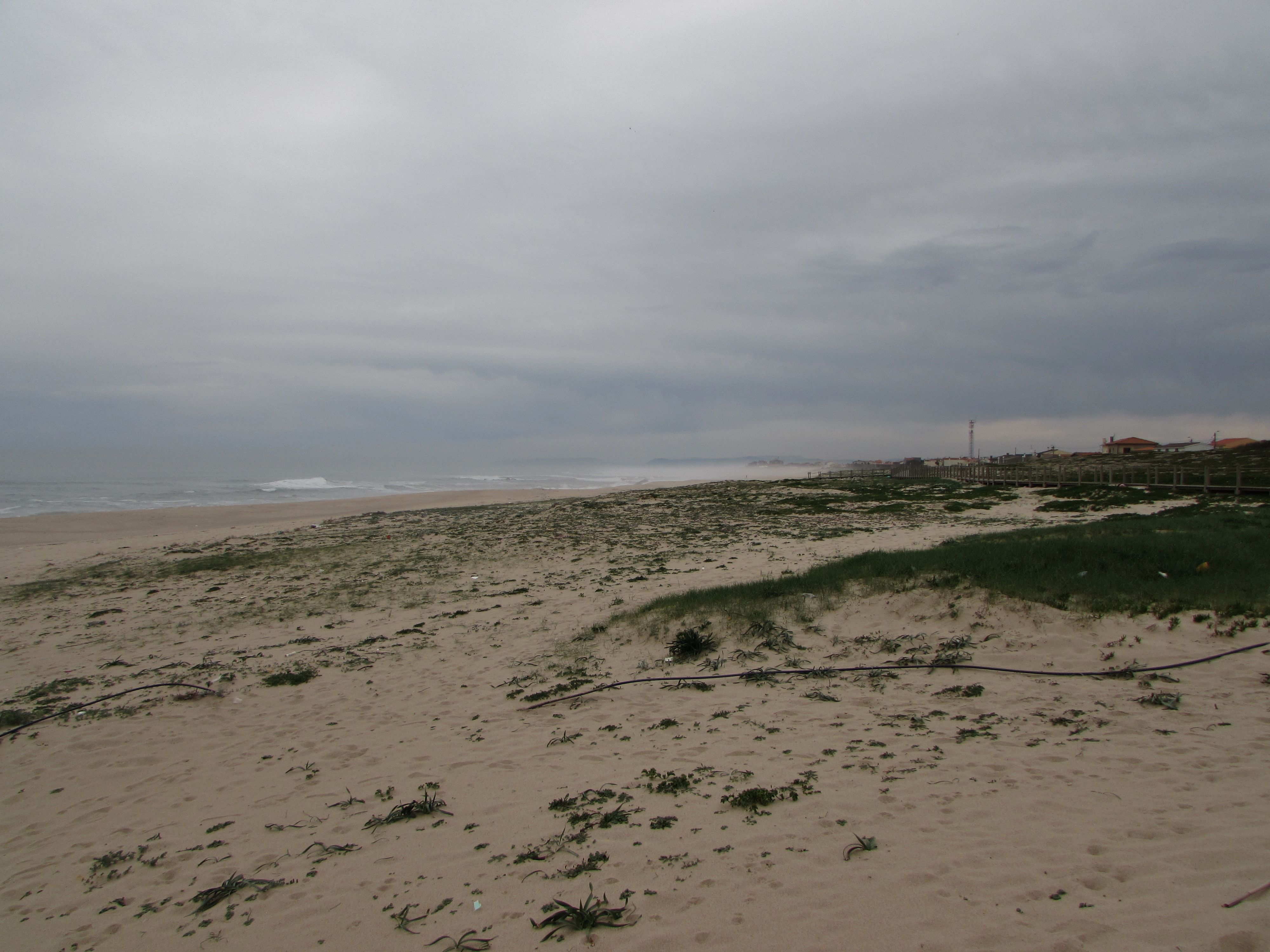 Praia de Santo André, por Helena Compadre