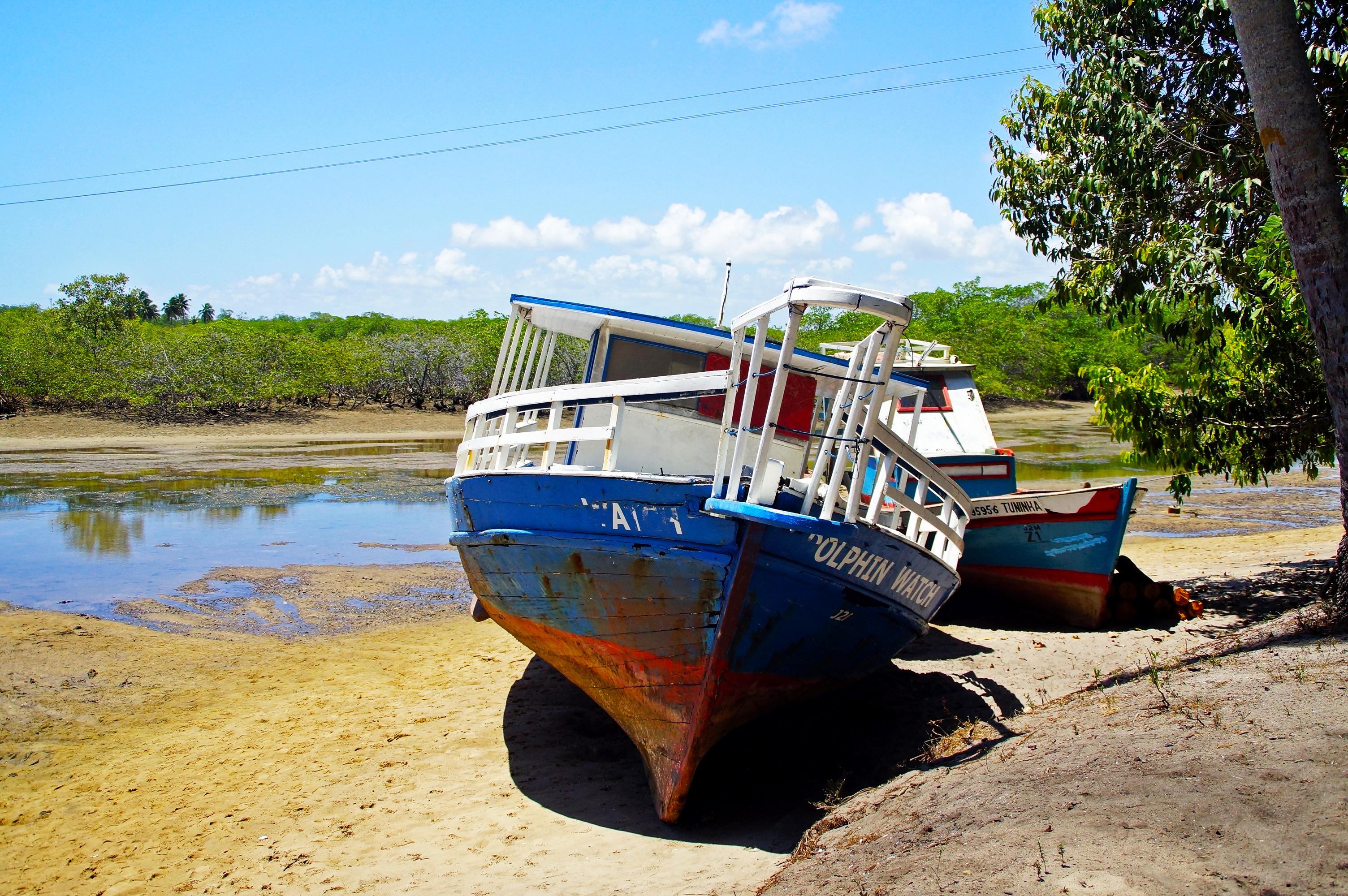 Pontal de Maracaipe, por David Ludugério