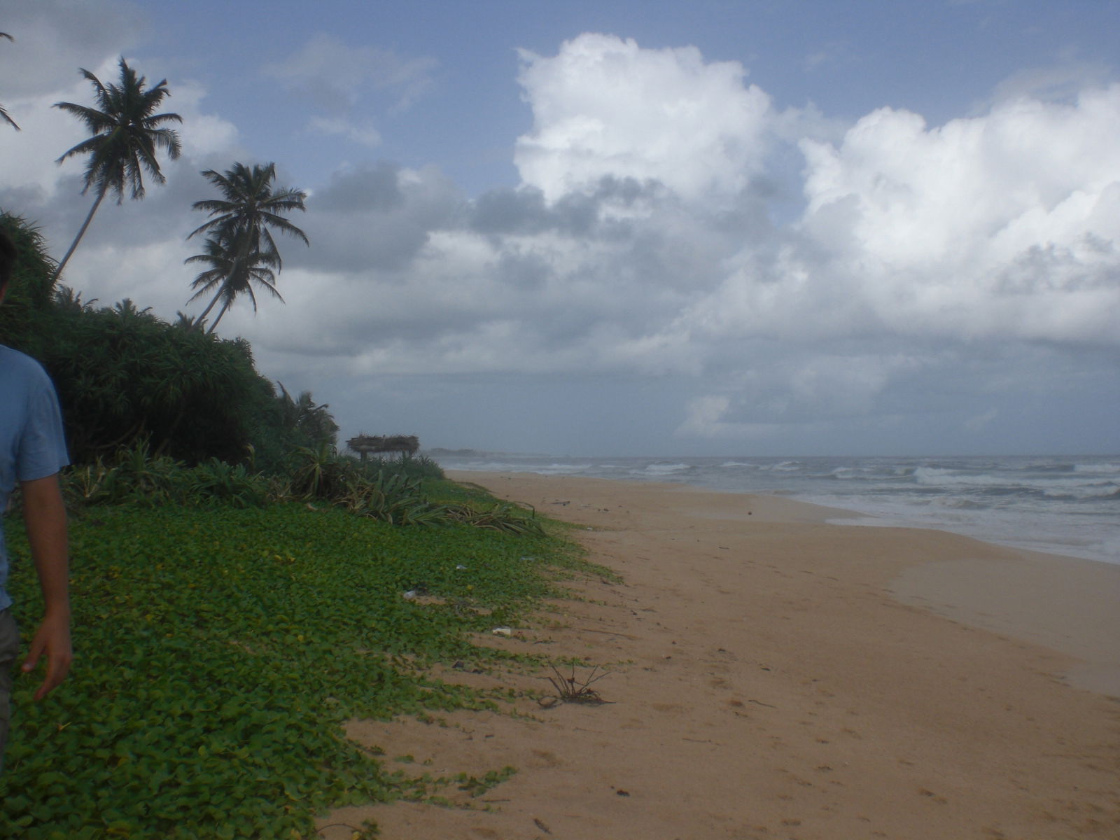 Playas de Koggala, por paulinette