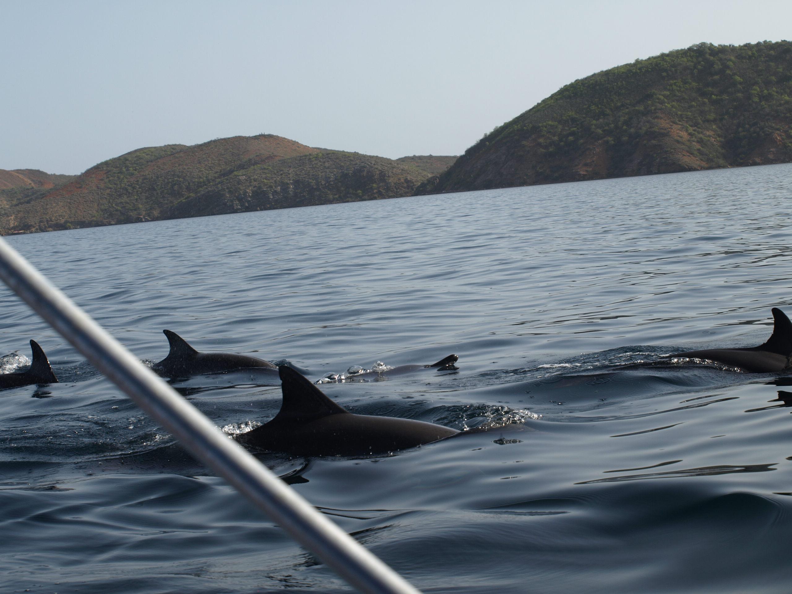 Mochima, por Edgar Carmona