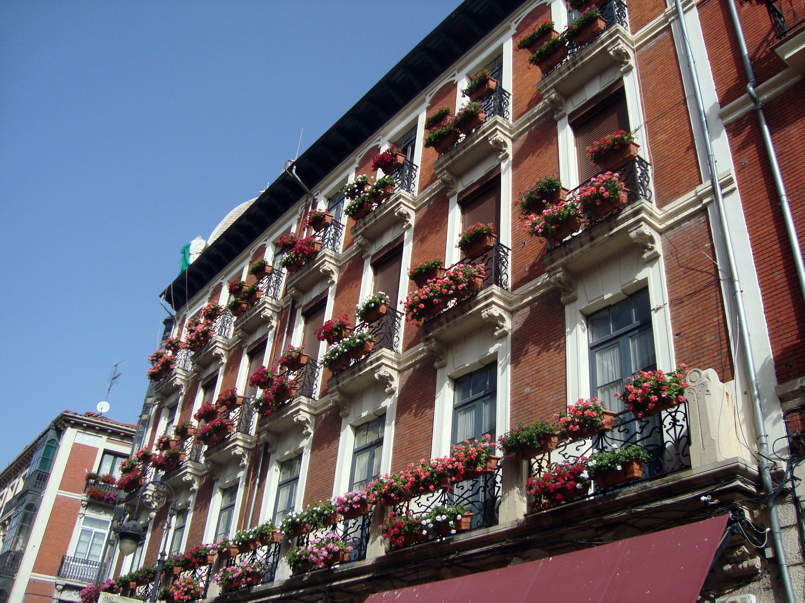 Paseando por Calle Ancha, por Marta Pilar