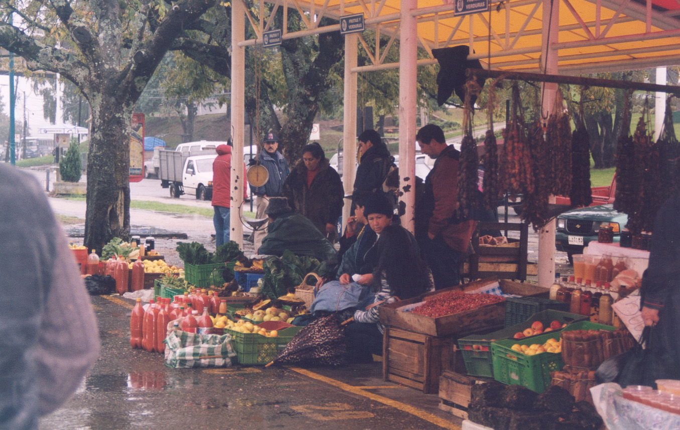 Mercado Municipal, por antartida